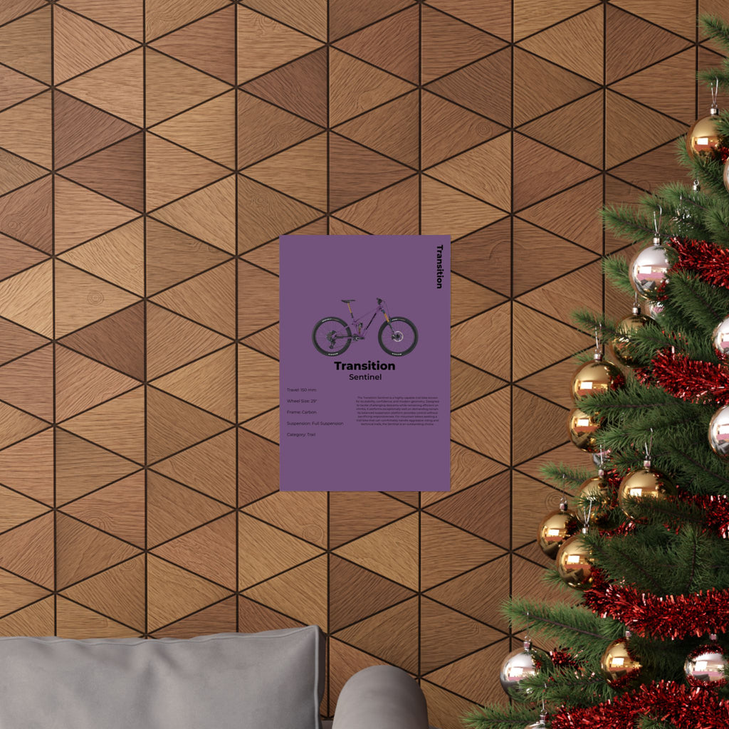Transition Sentinel Poster