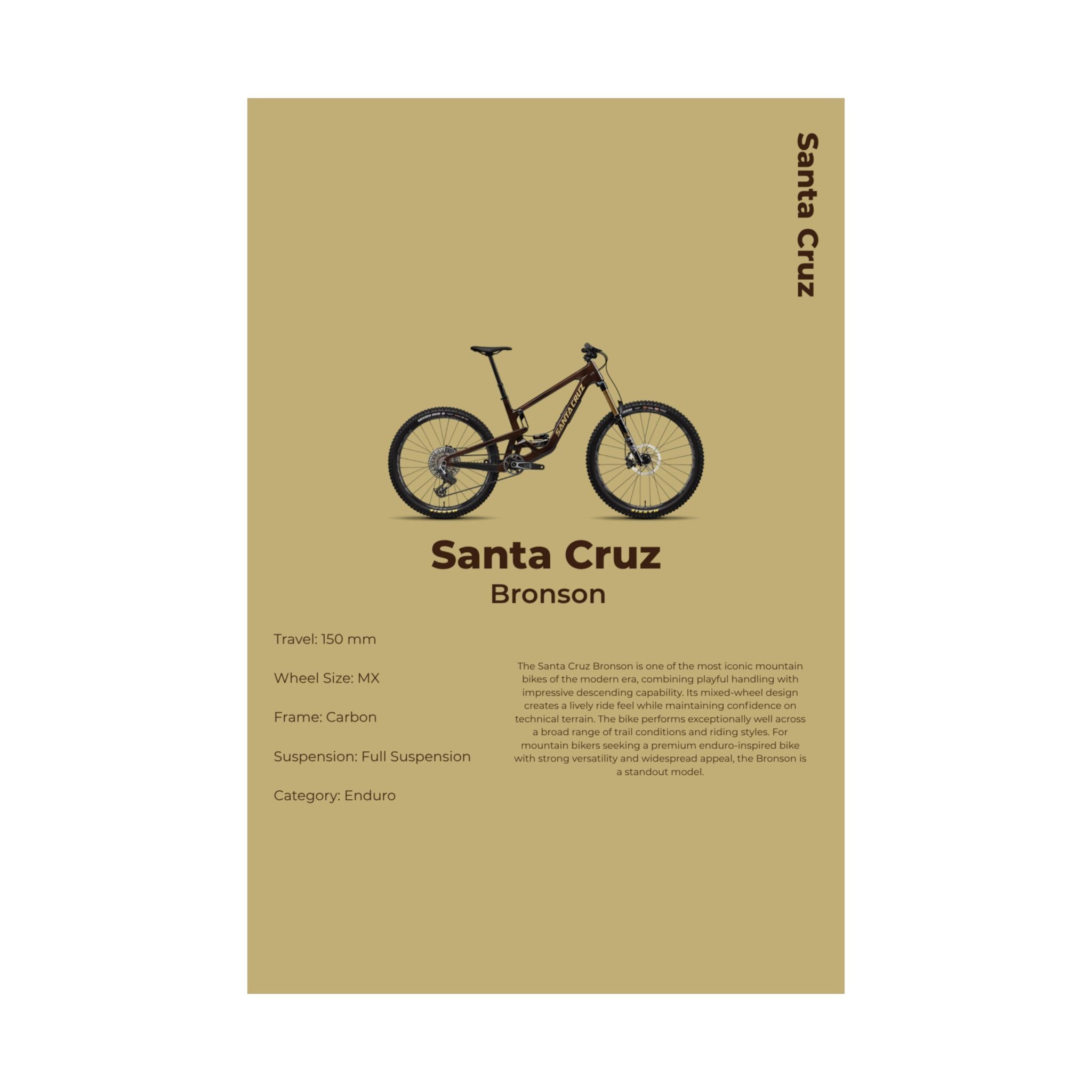 Santa Cruz Bronson Poster