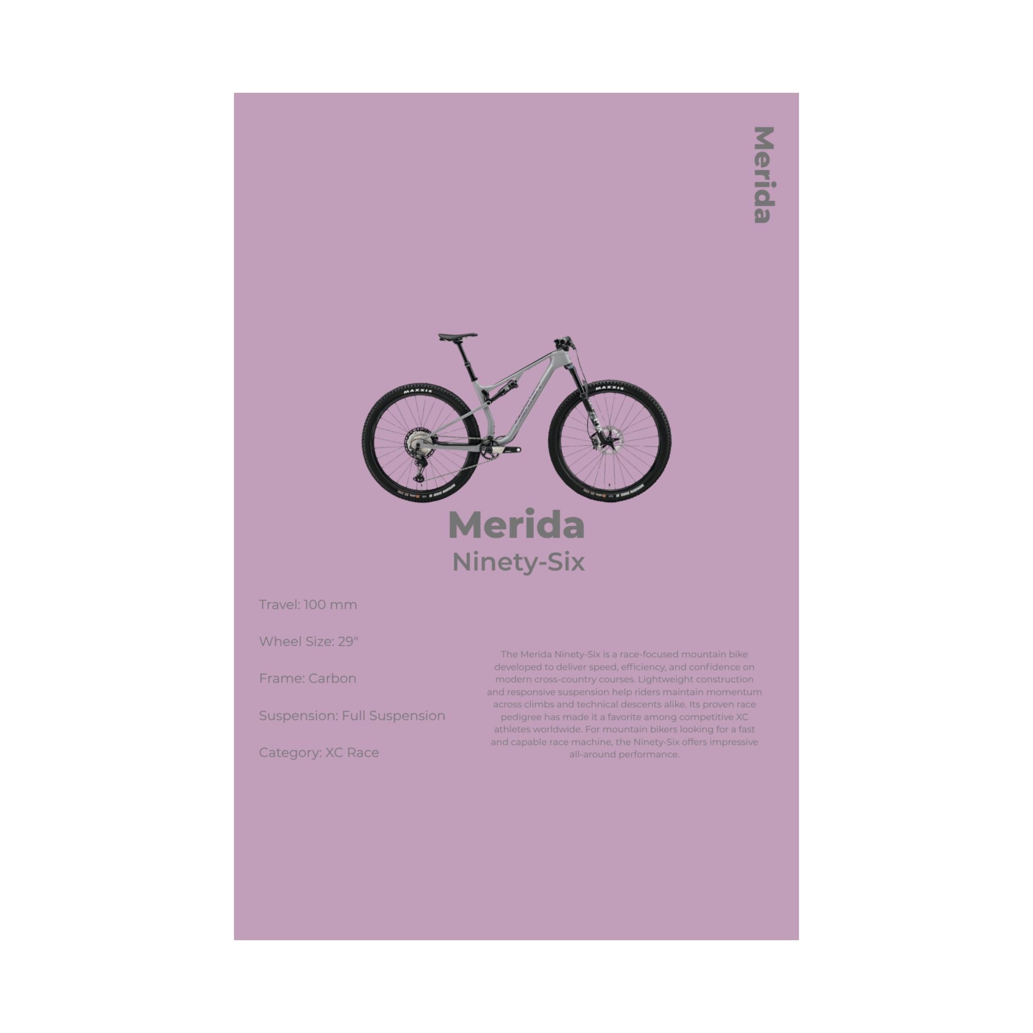Merida Ninety-Six Poster