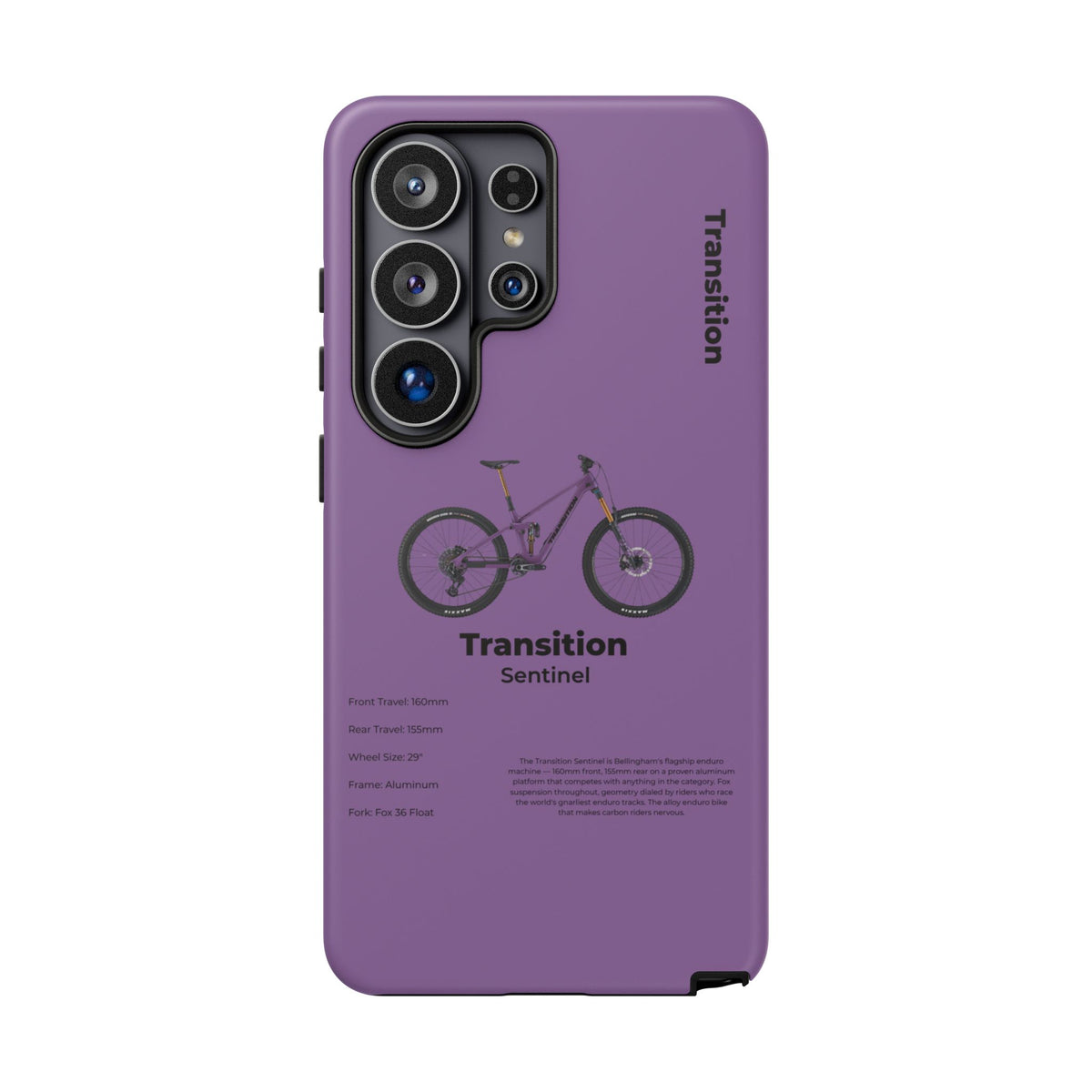 Transition Sentinel