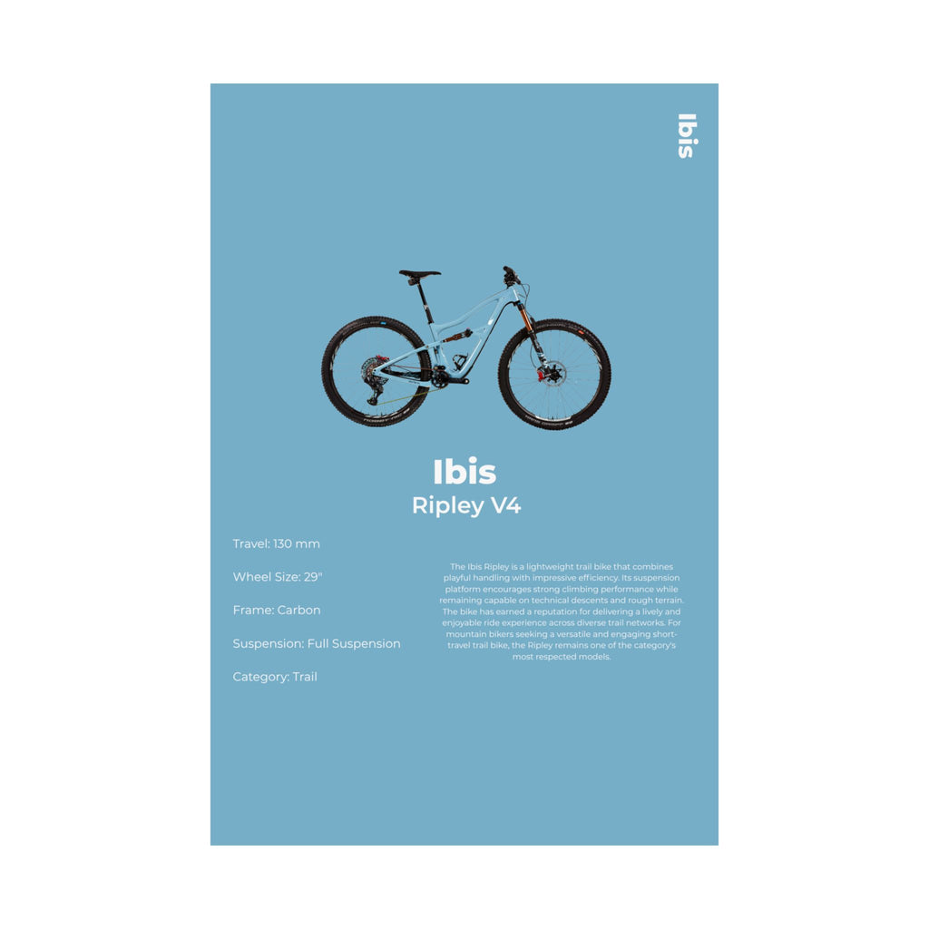 Ibis Ripley Poster