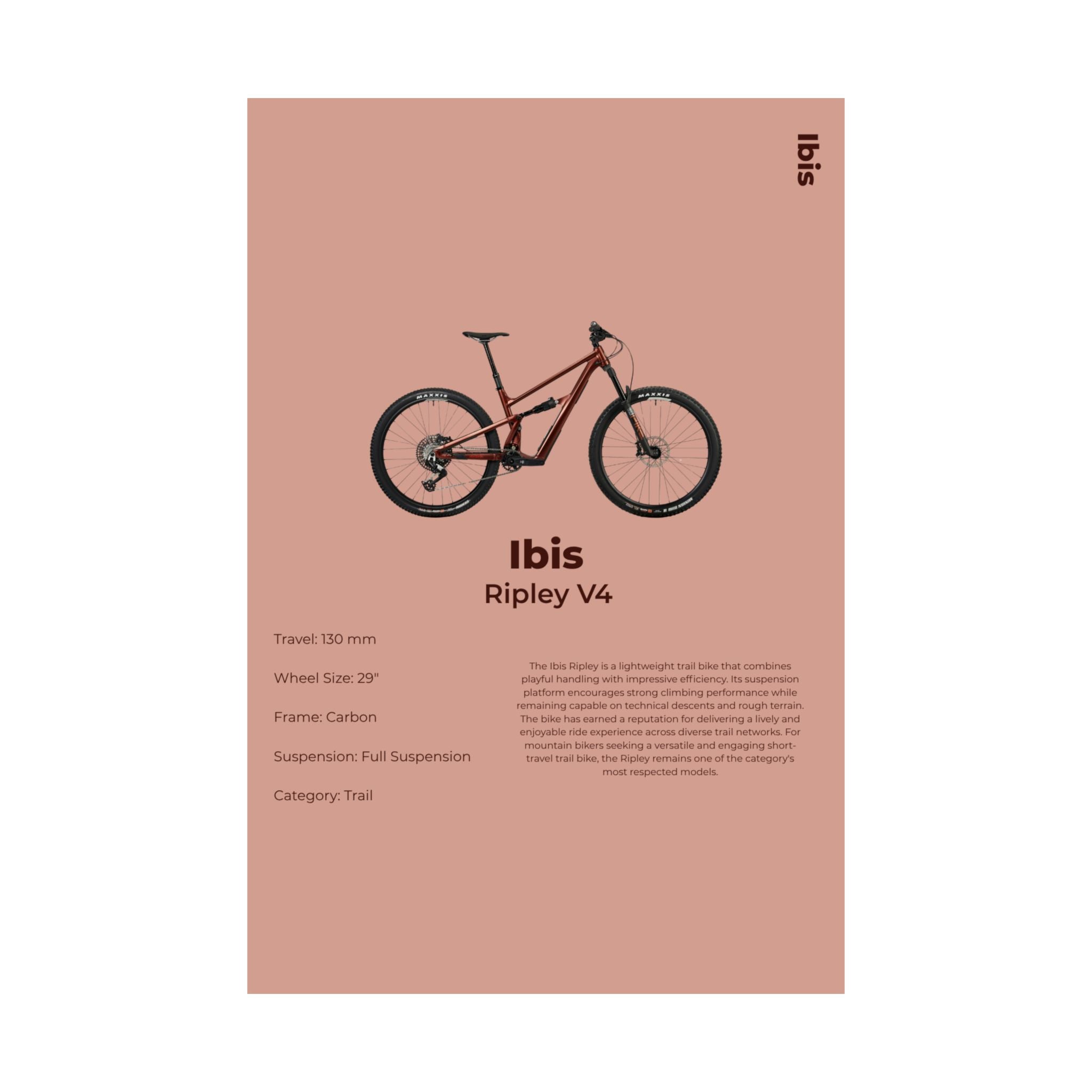 Ibis Ripley Poster