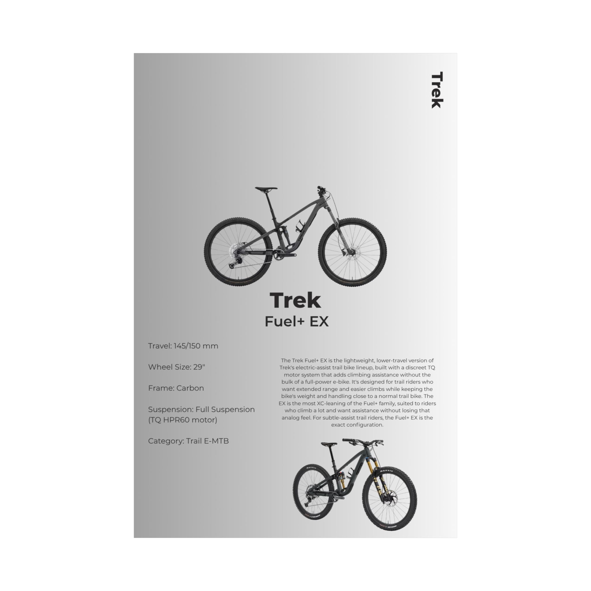 Trek Fuel EX Poster