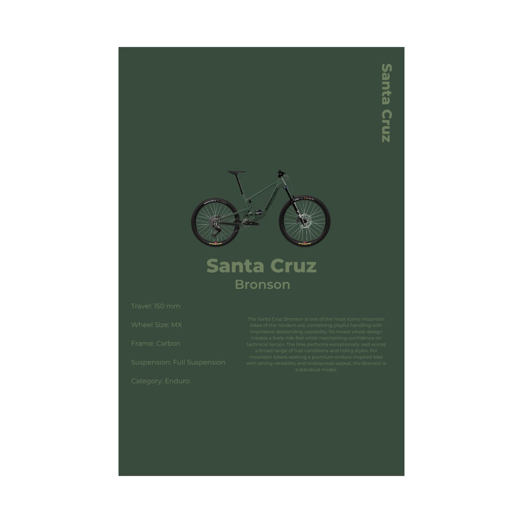 Santa Cruz Bronson Poster