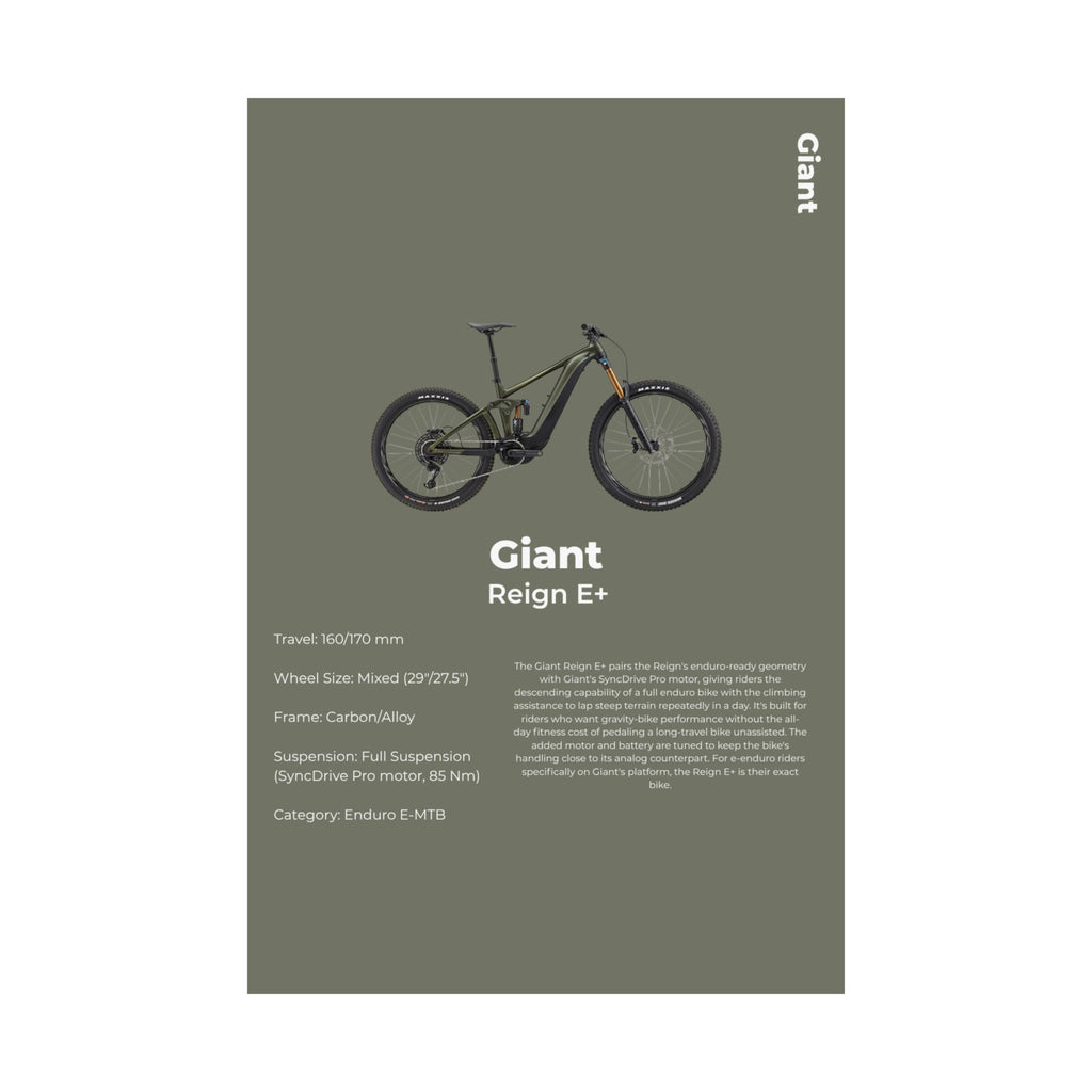 Giant Reign Poster