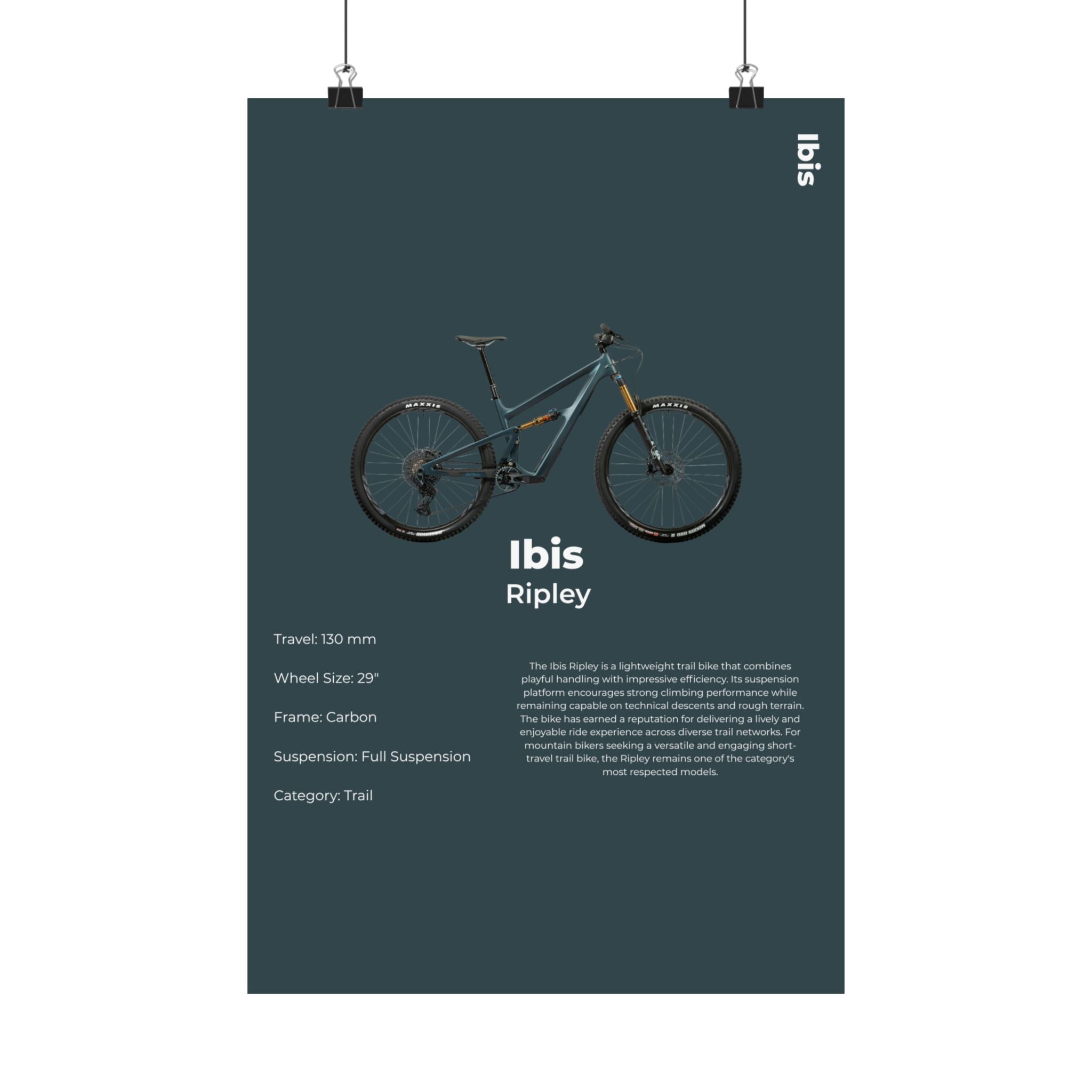 Ibis Ripley Poster