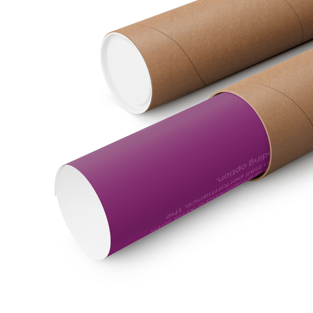 Santa Cruz Heckler Poster