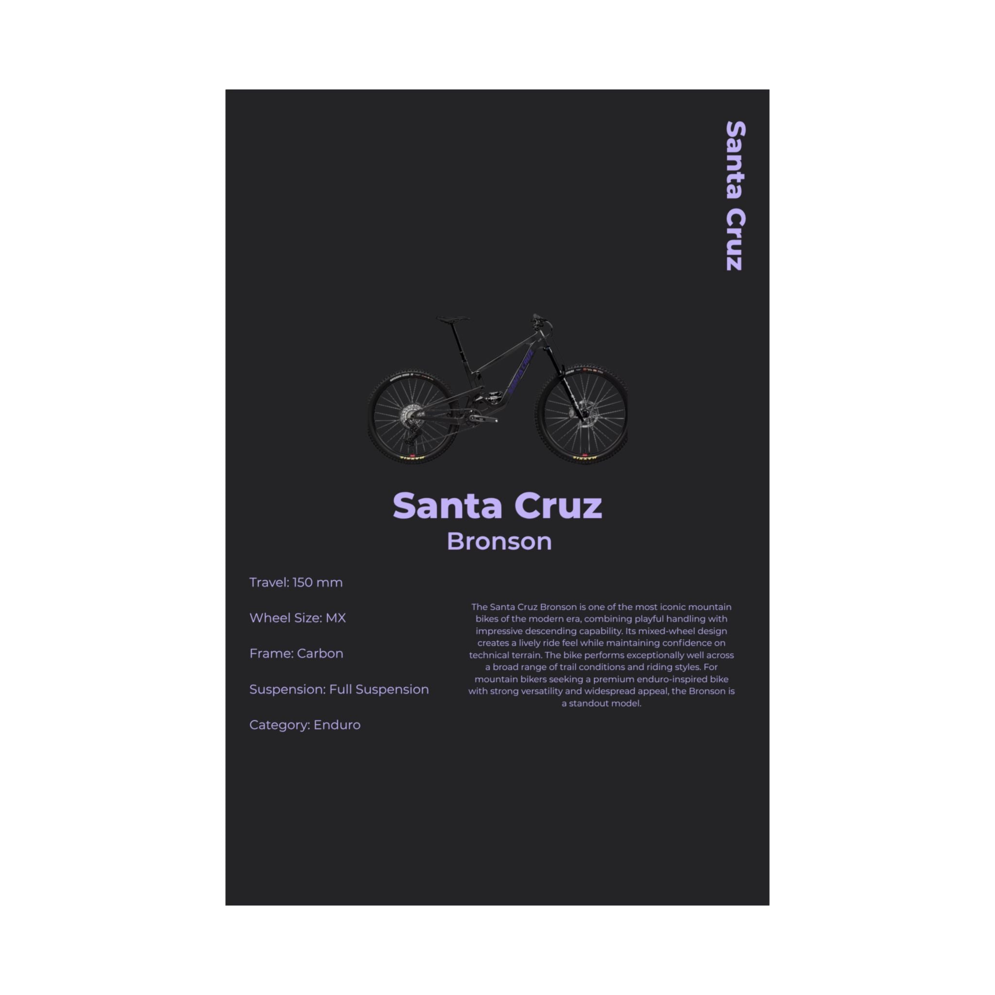 Santa Cruz Bronson Poster