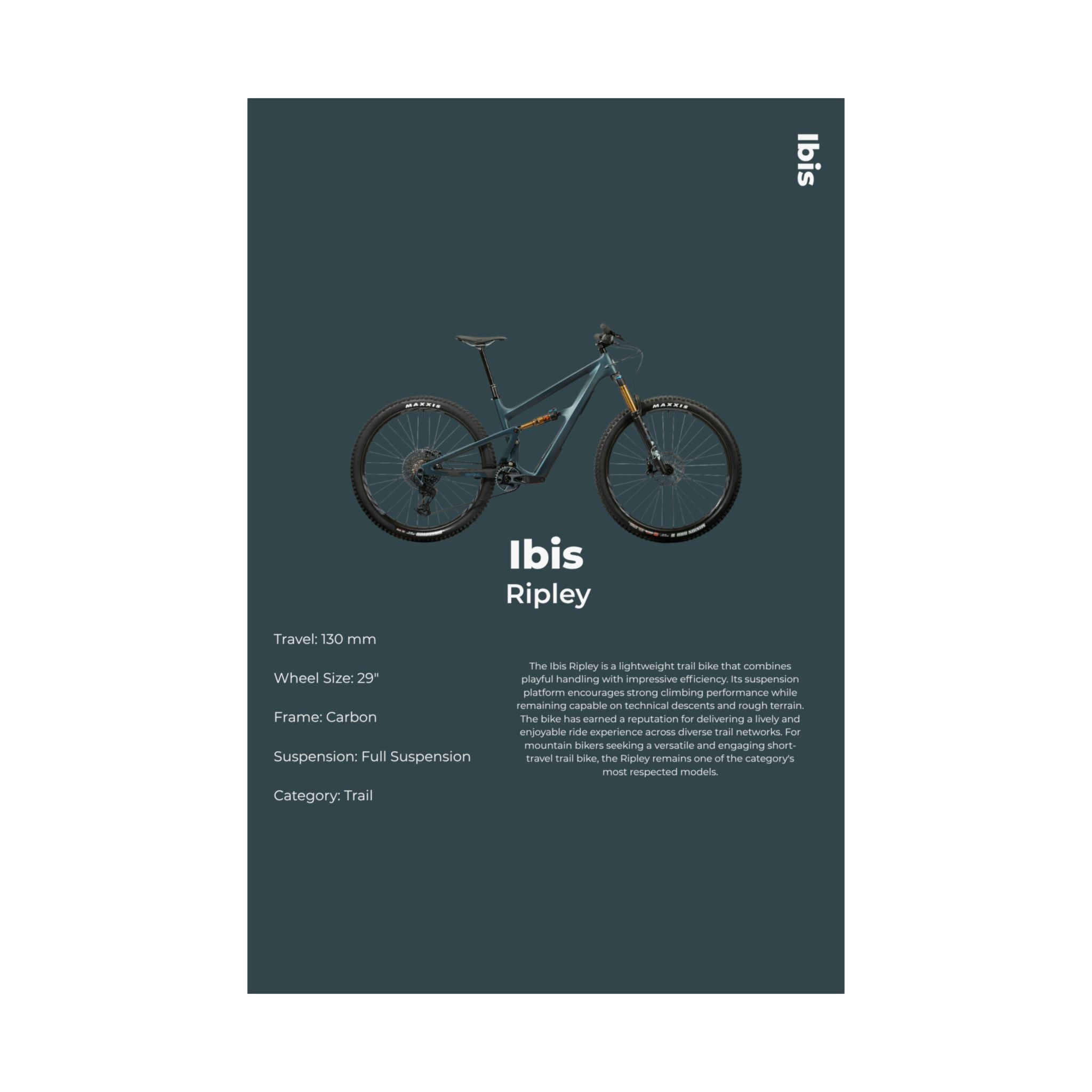 Ibis Ripley Poster