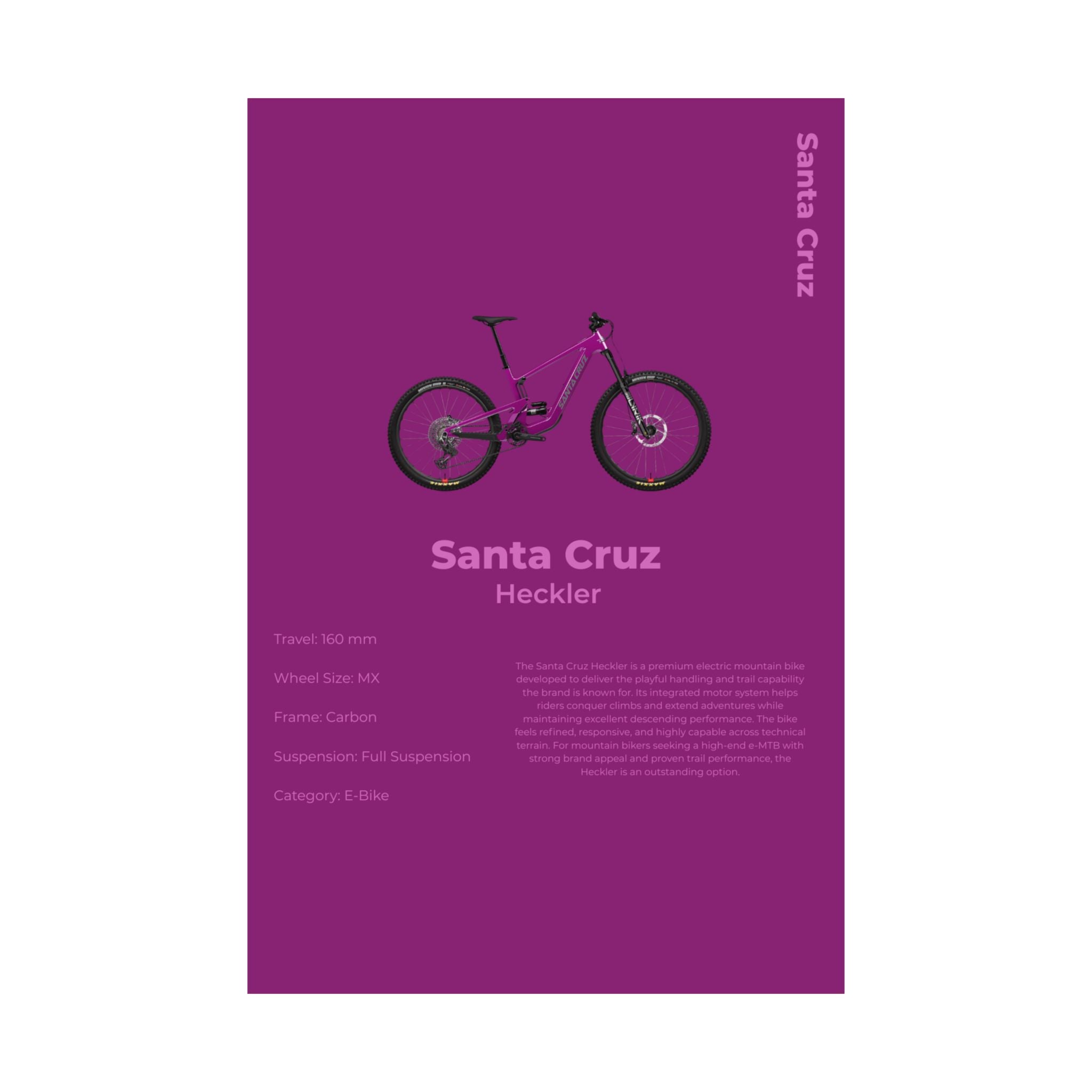 Santa Cruz Heckler Poster