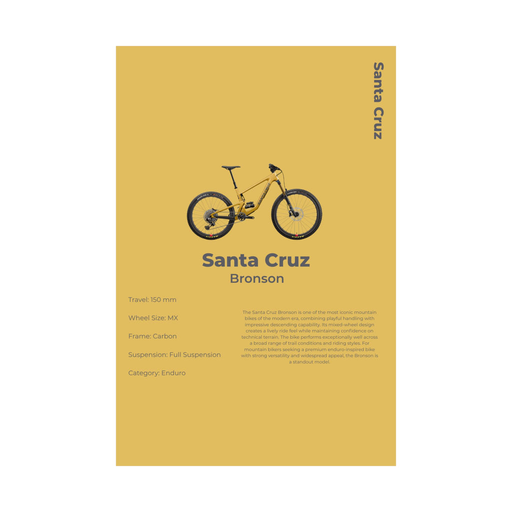 Santa Cruz Bronson Poster