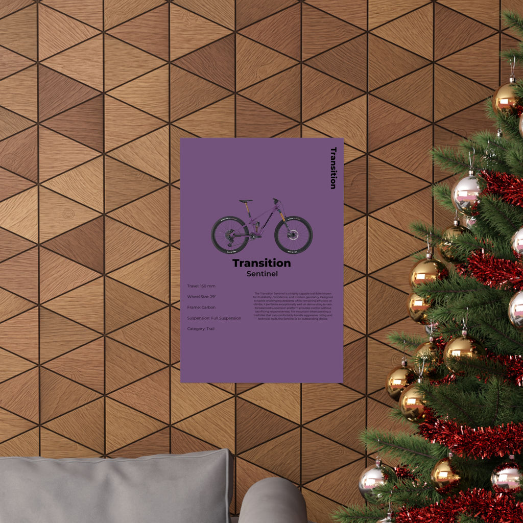Transition Sentinel Poster