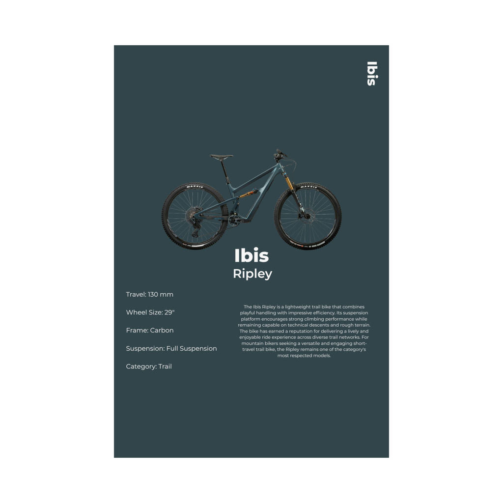Ibis Ripley Poster