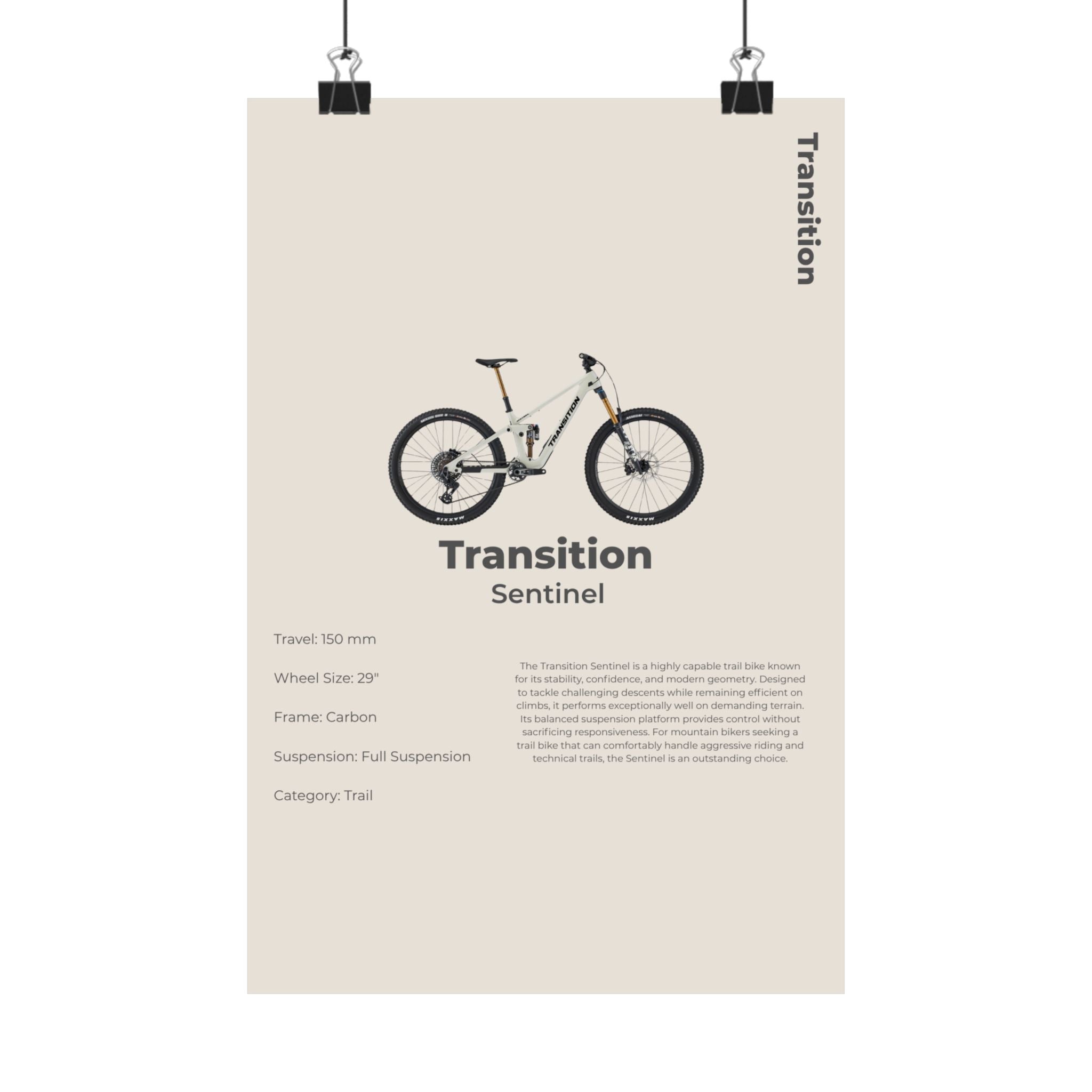 Transition Sentinel Poster