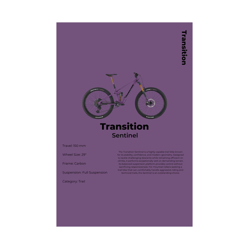 Transition Sentinel Poster