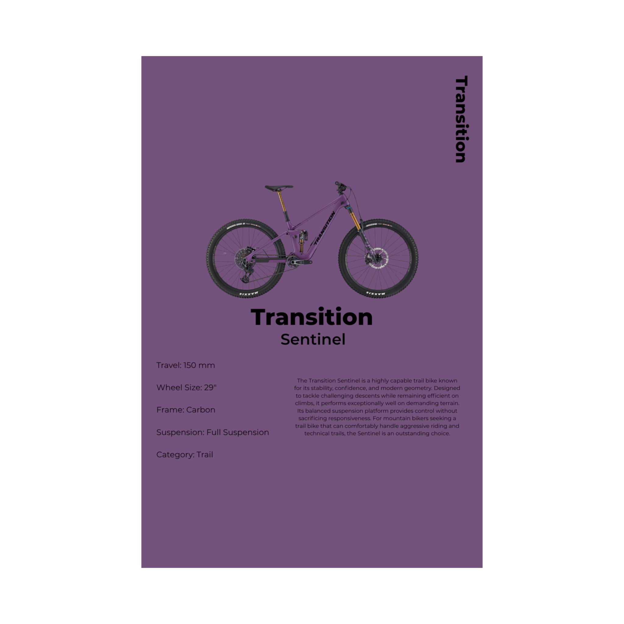 Transition Sentinel Poster