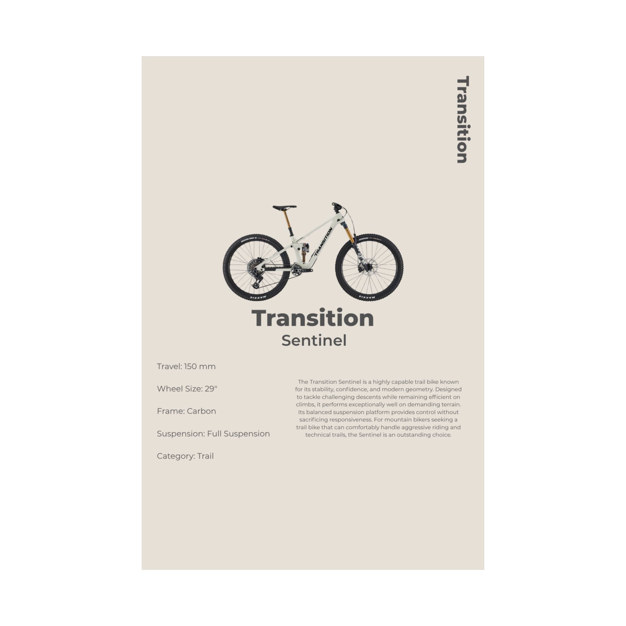 Transition Sentinel Poster
