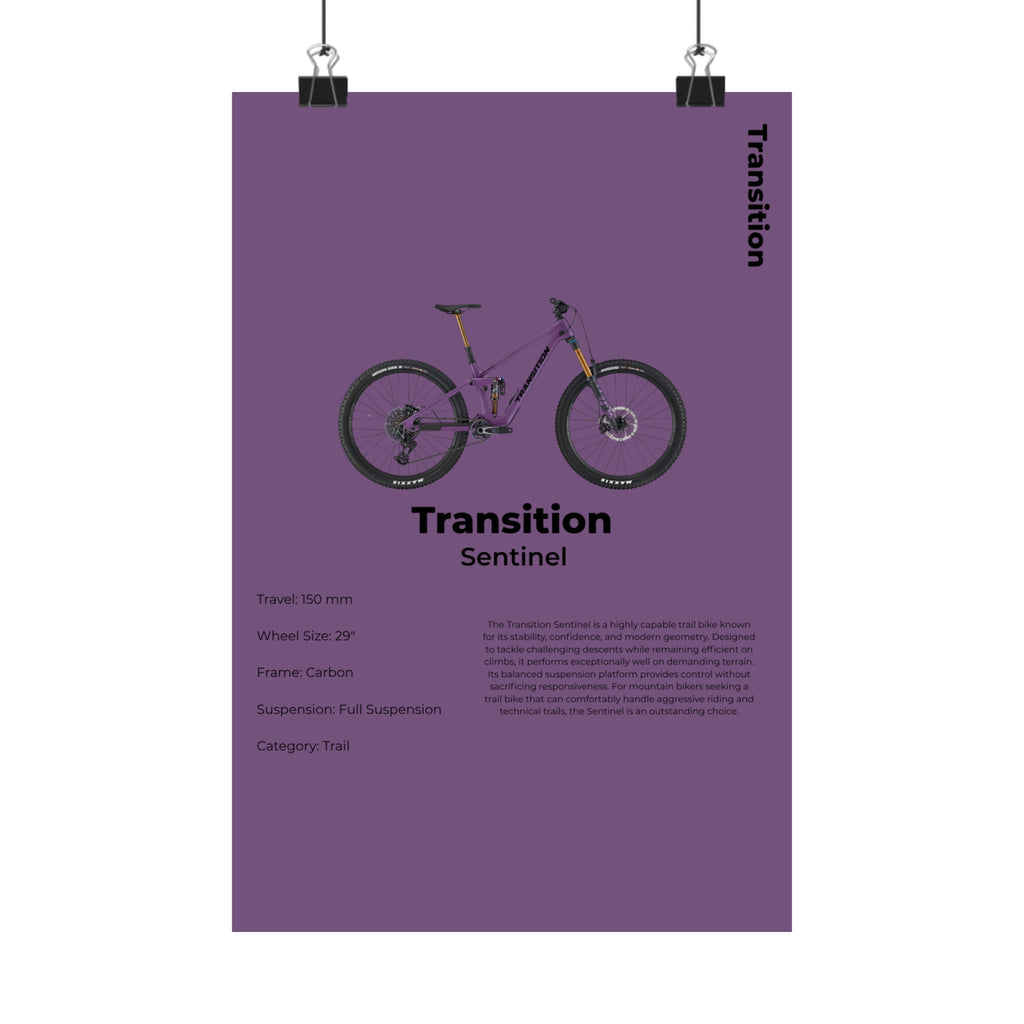 Transition Sentinel Poster