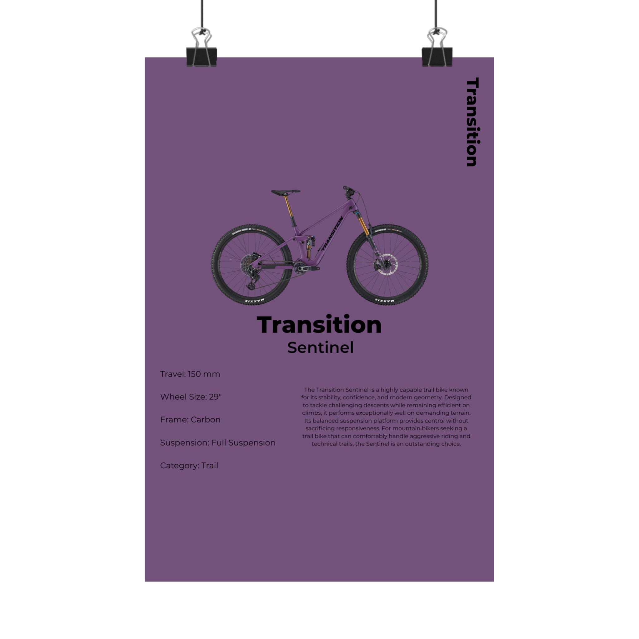 Transition Sentinel Poster