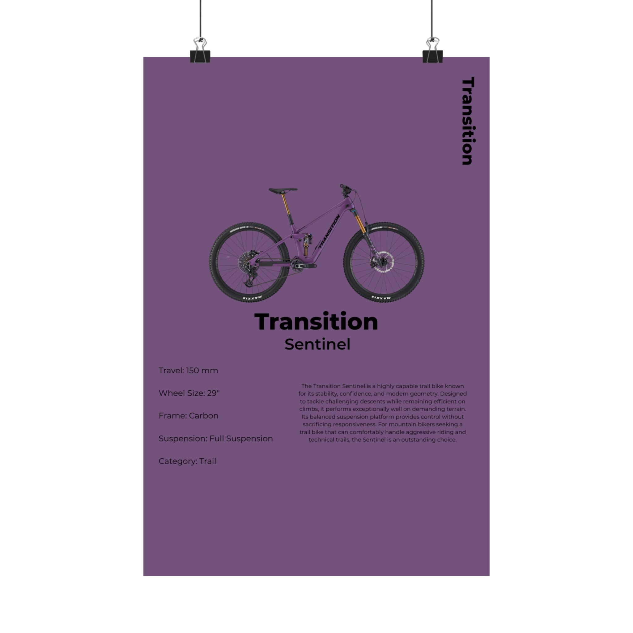 Transition Sentinel Poster