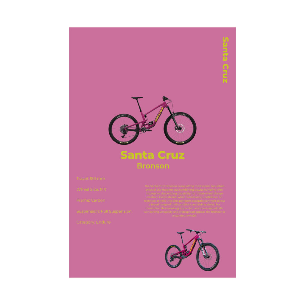 Santa Cruz Bronson Poster