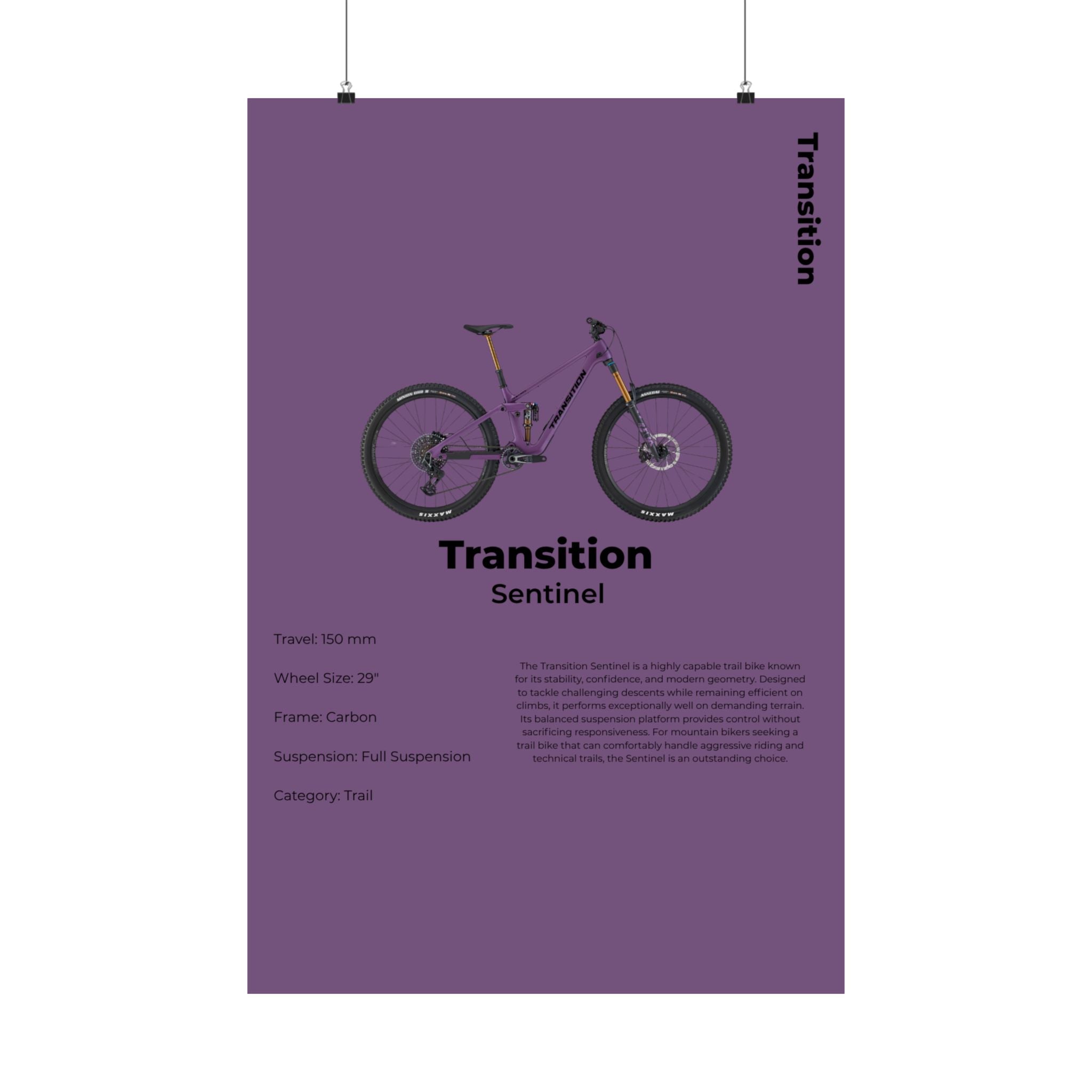 Transition Sentinel Poster