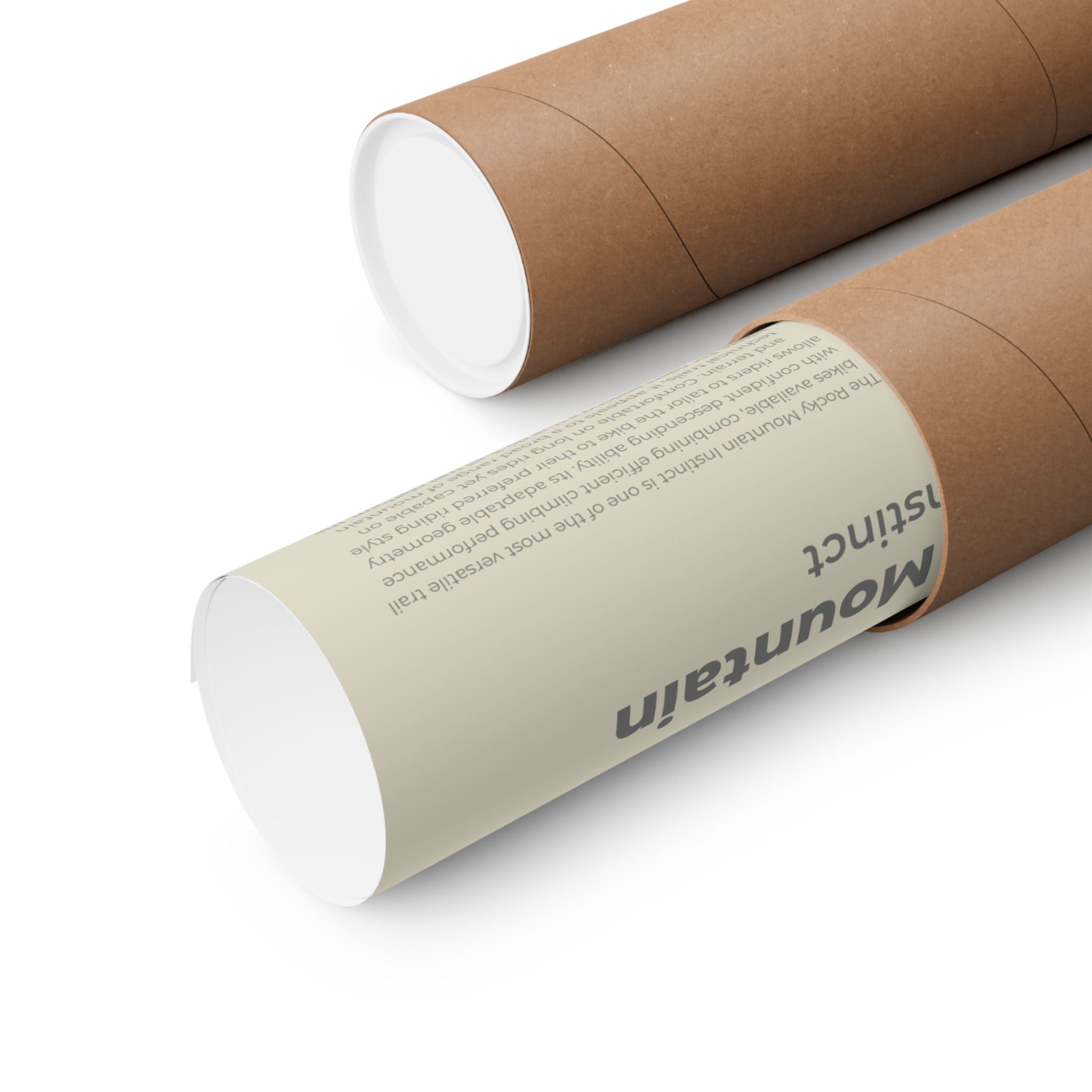Rocky Mountain Instinct Poster