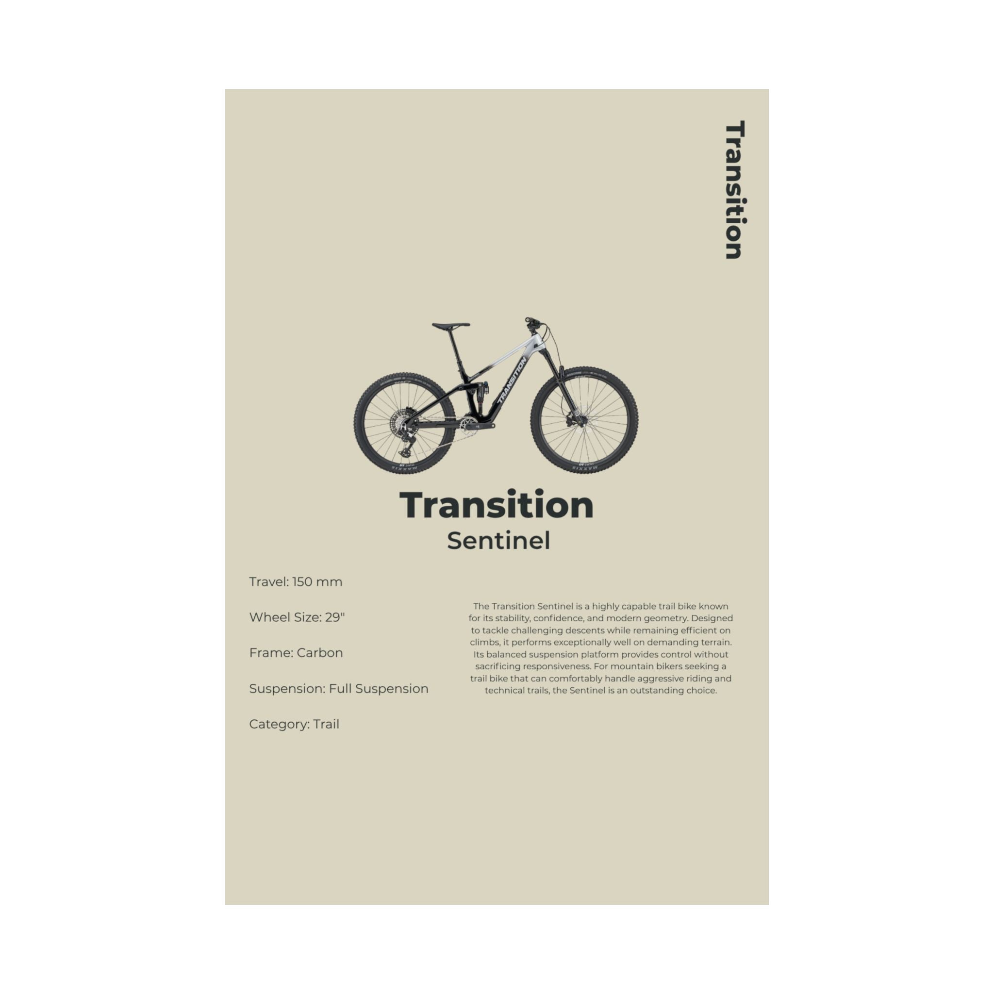Transition Sentinel Poster