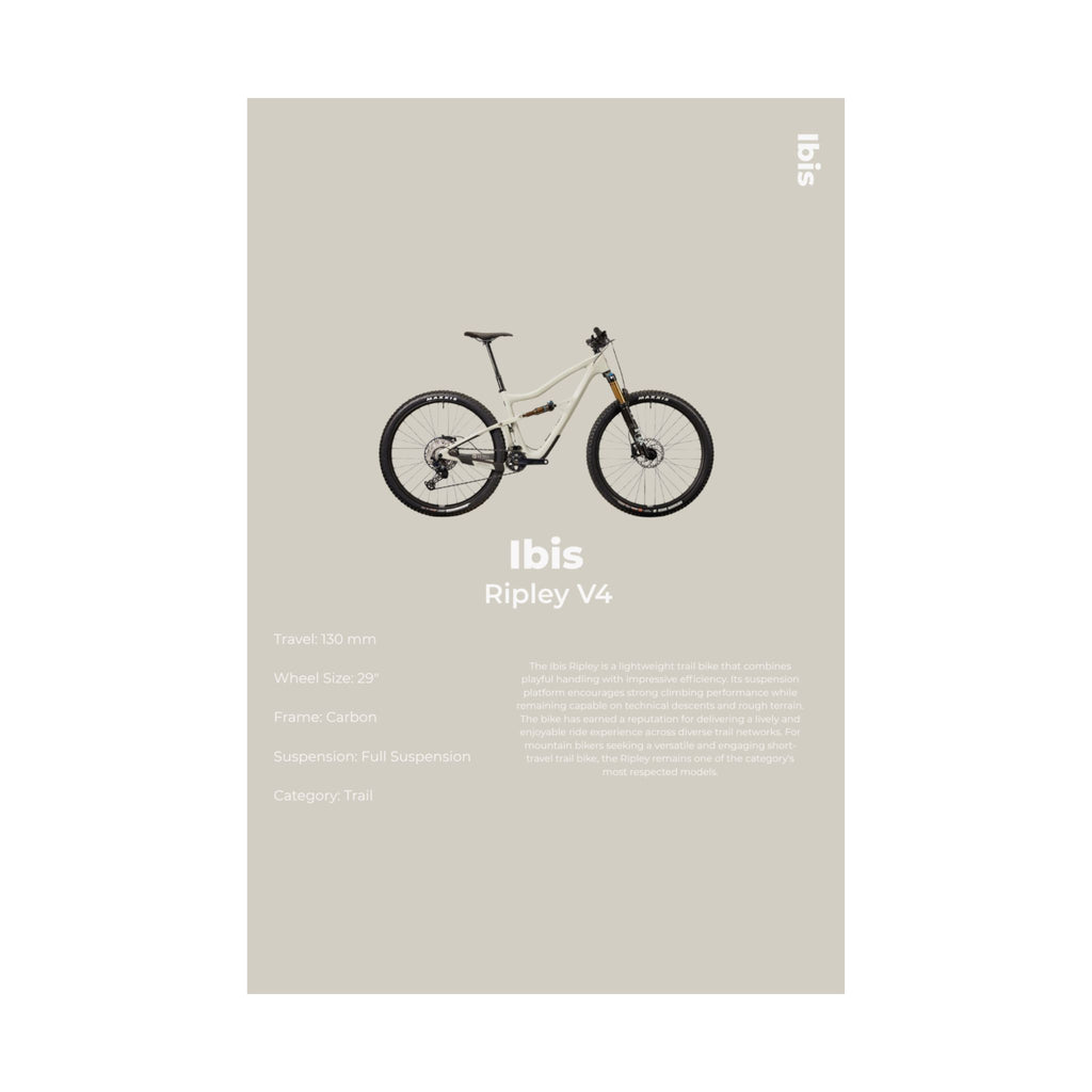 Ibis Ripley Poster