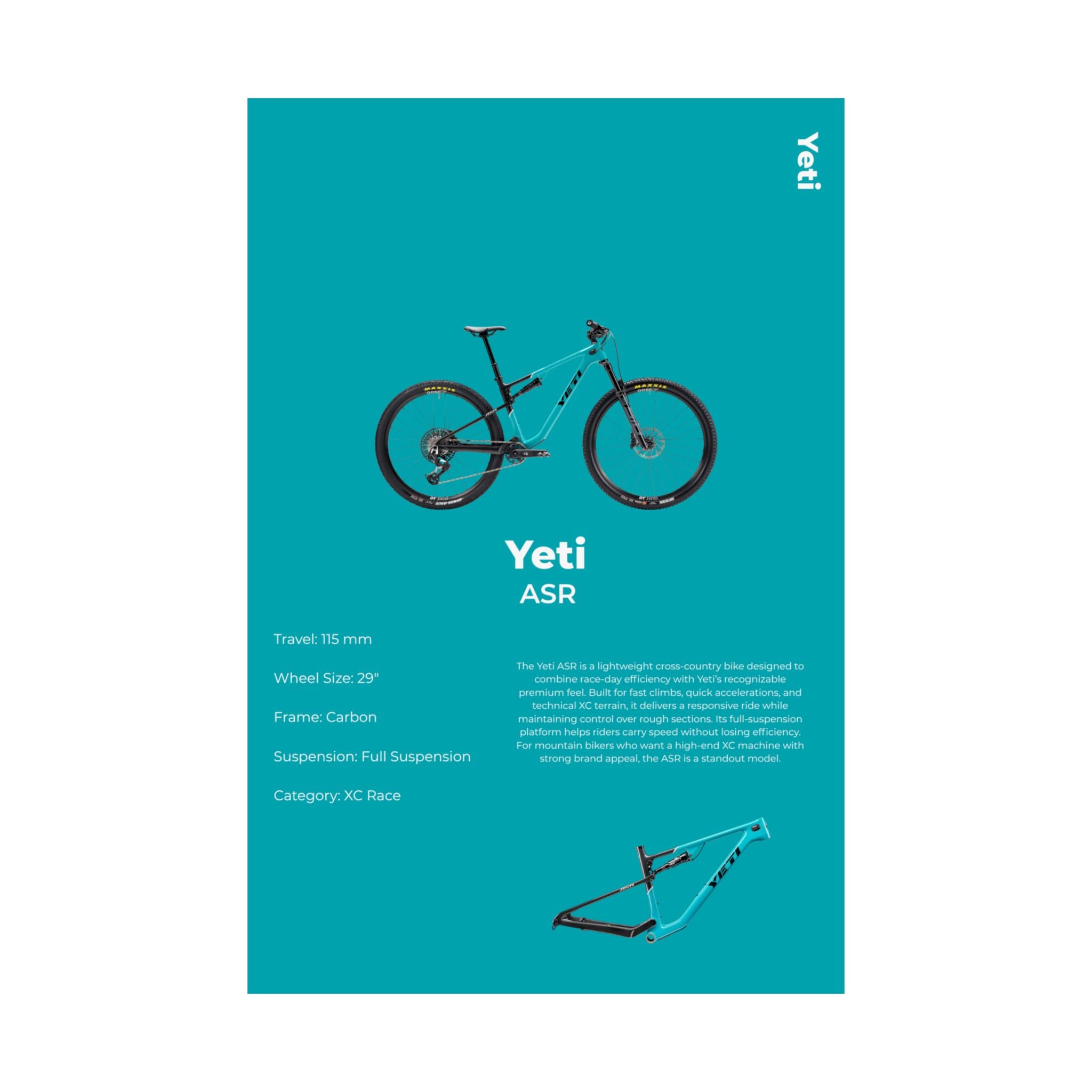 Yeti ASR Poster