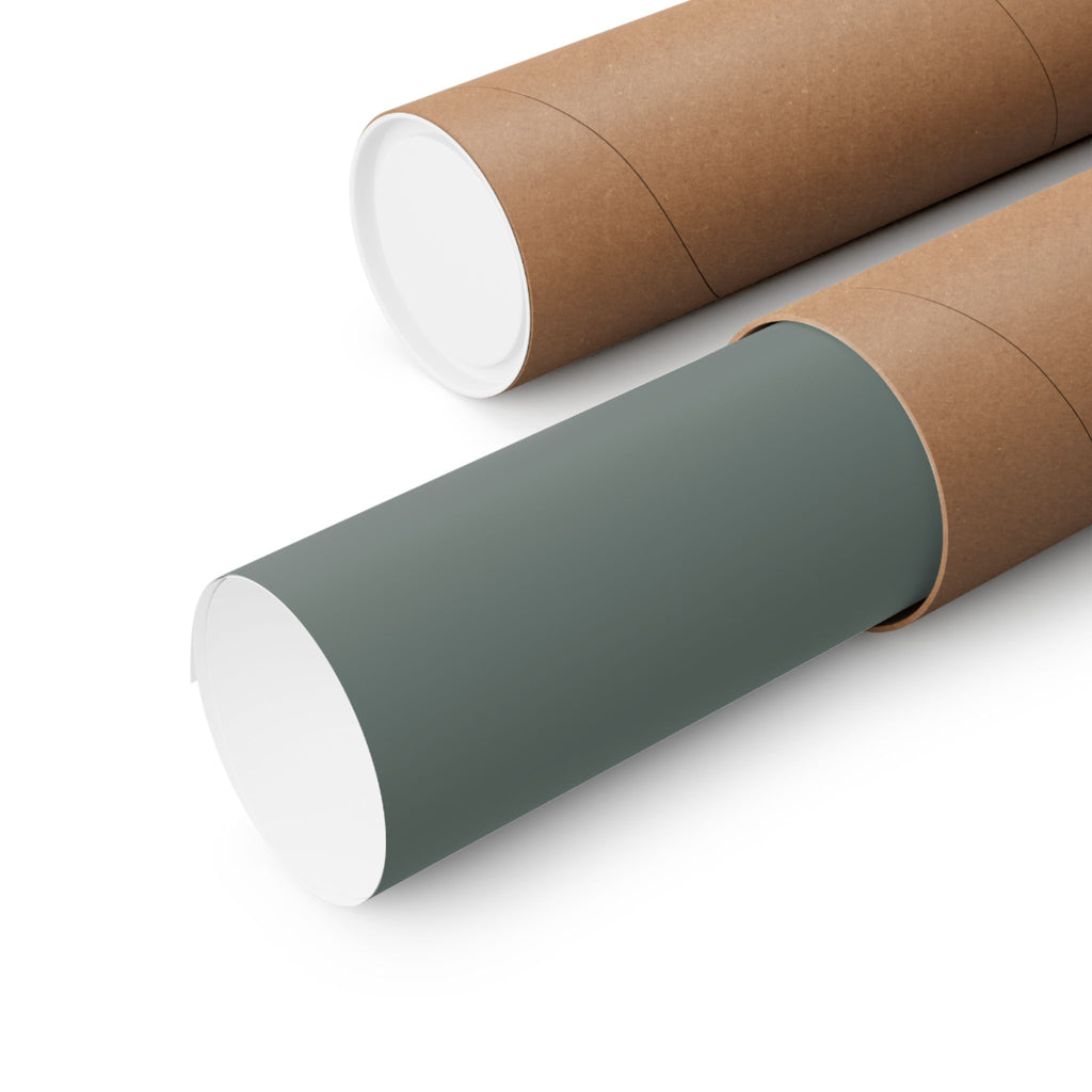Transition Sentinel Poster