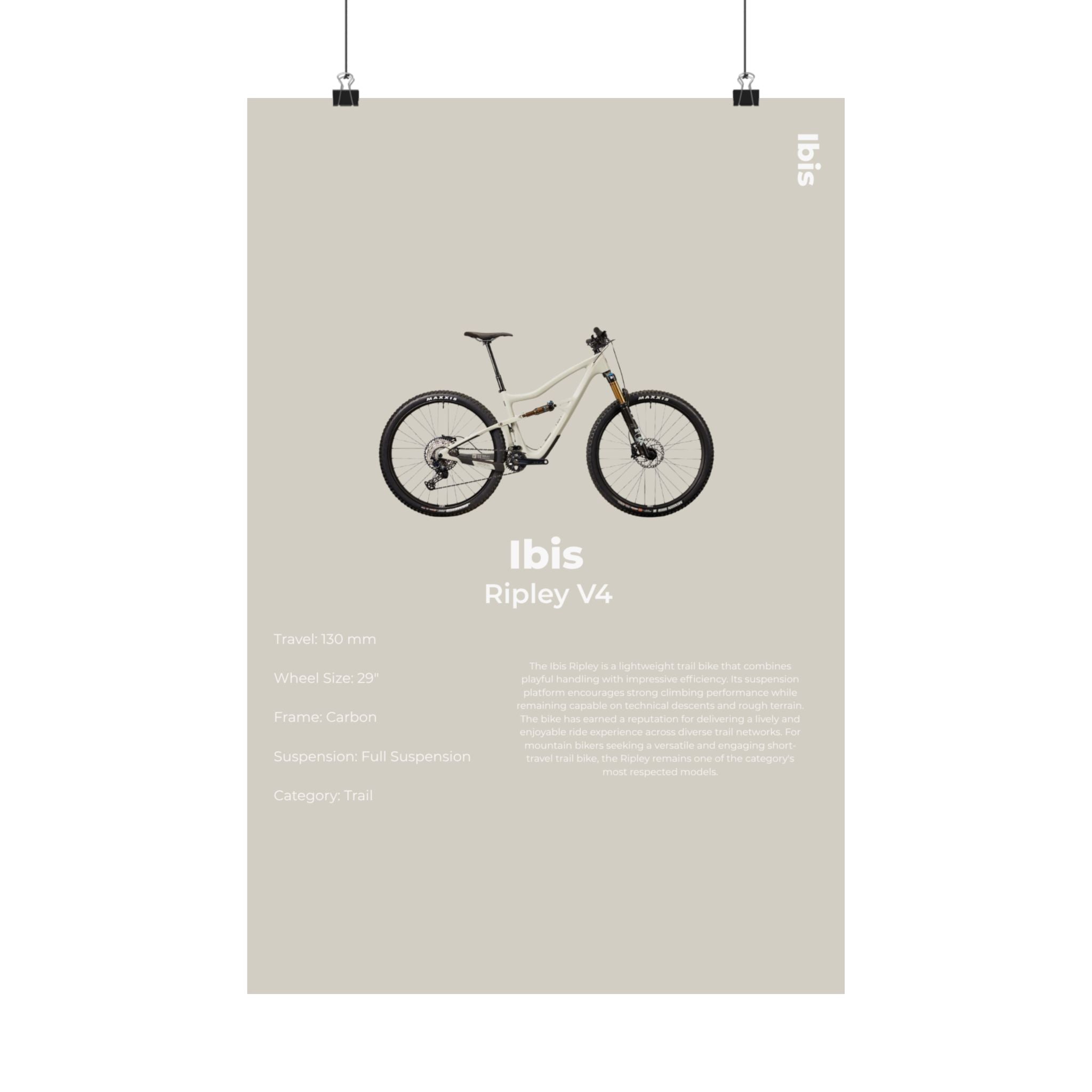 Ibis Ripley Poster