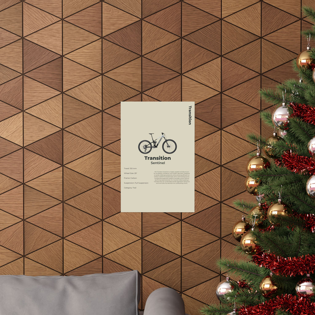 Transition Sentinel Poster