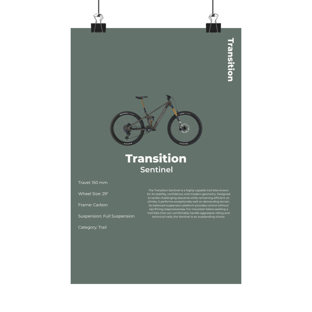 Transition Sentinel Poster