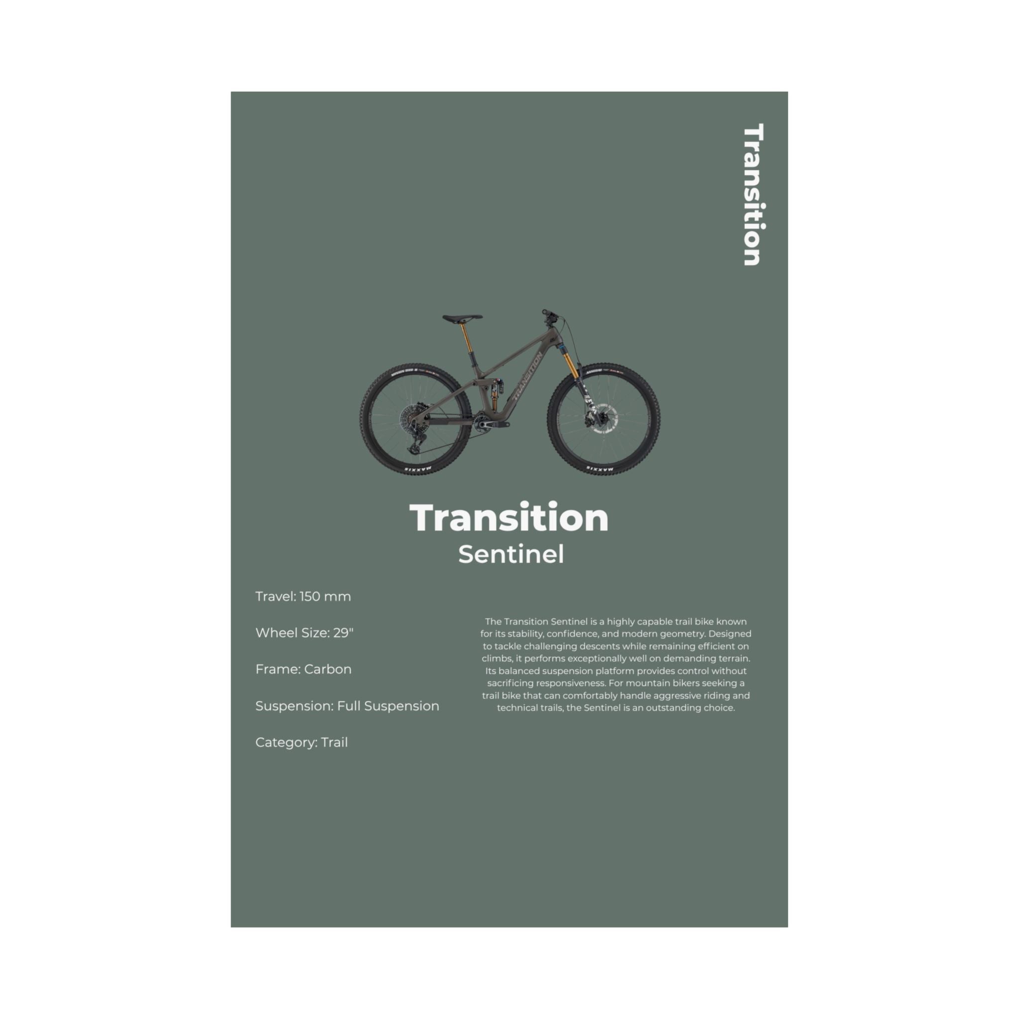 Transition Sentinel Poster