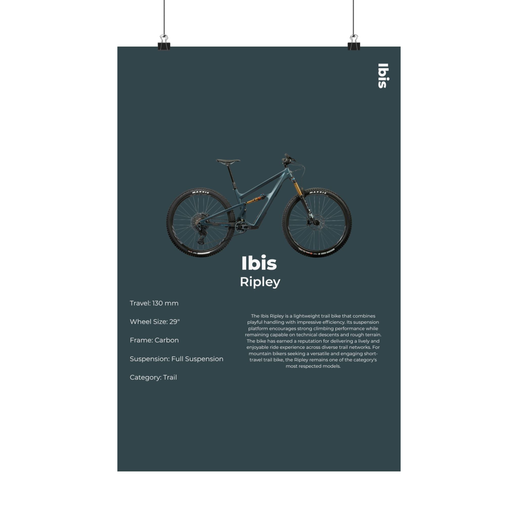 Ibis Ripley Poster