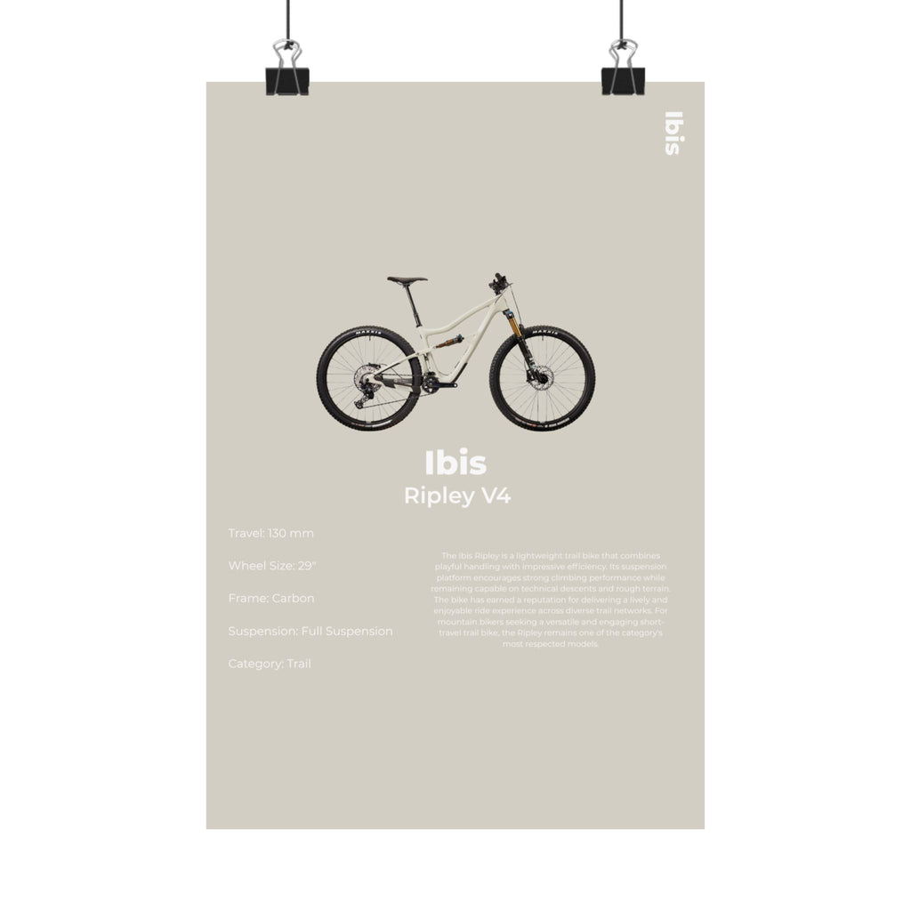 Ibis Ripley Poster