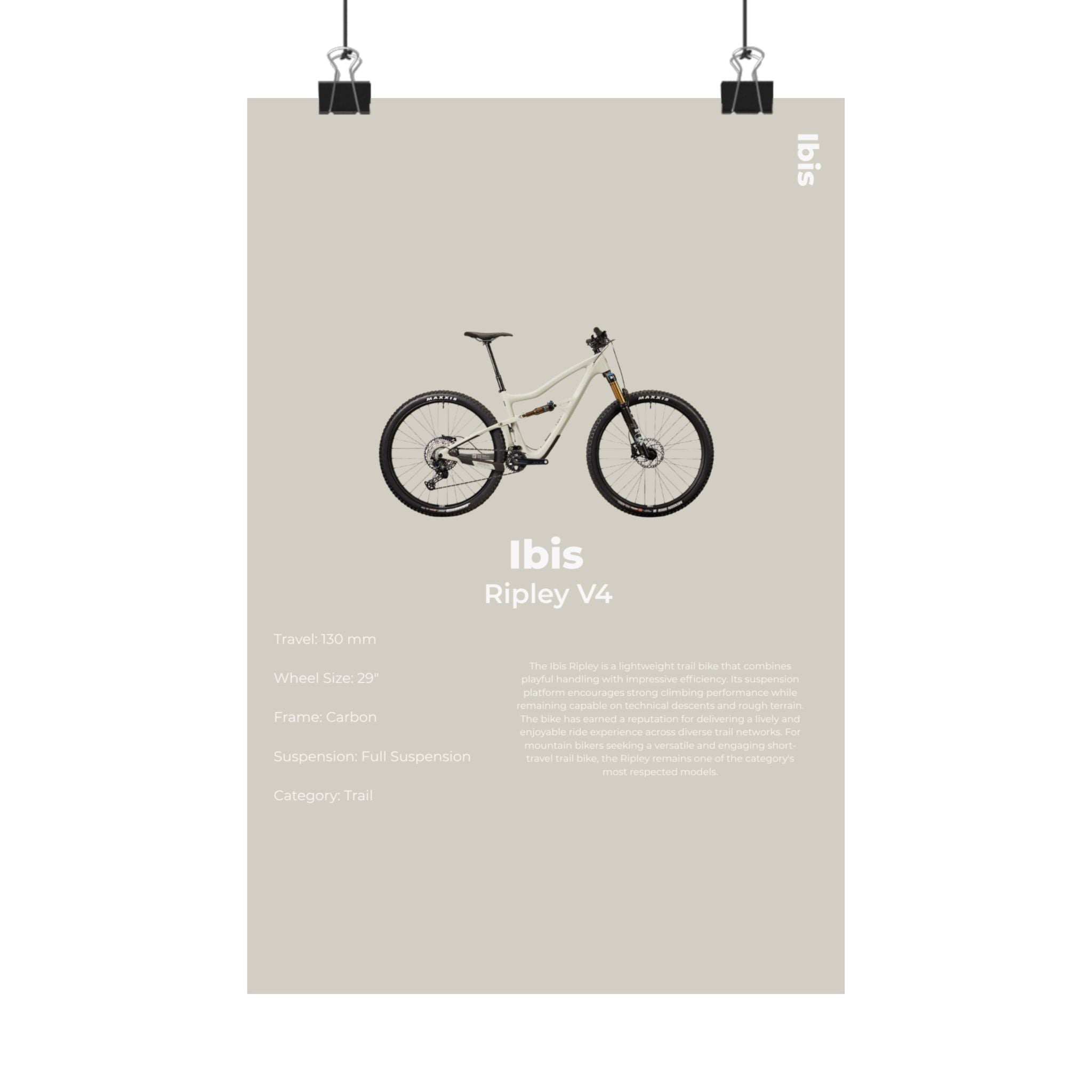 Ibis Ripley Poster