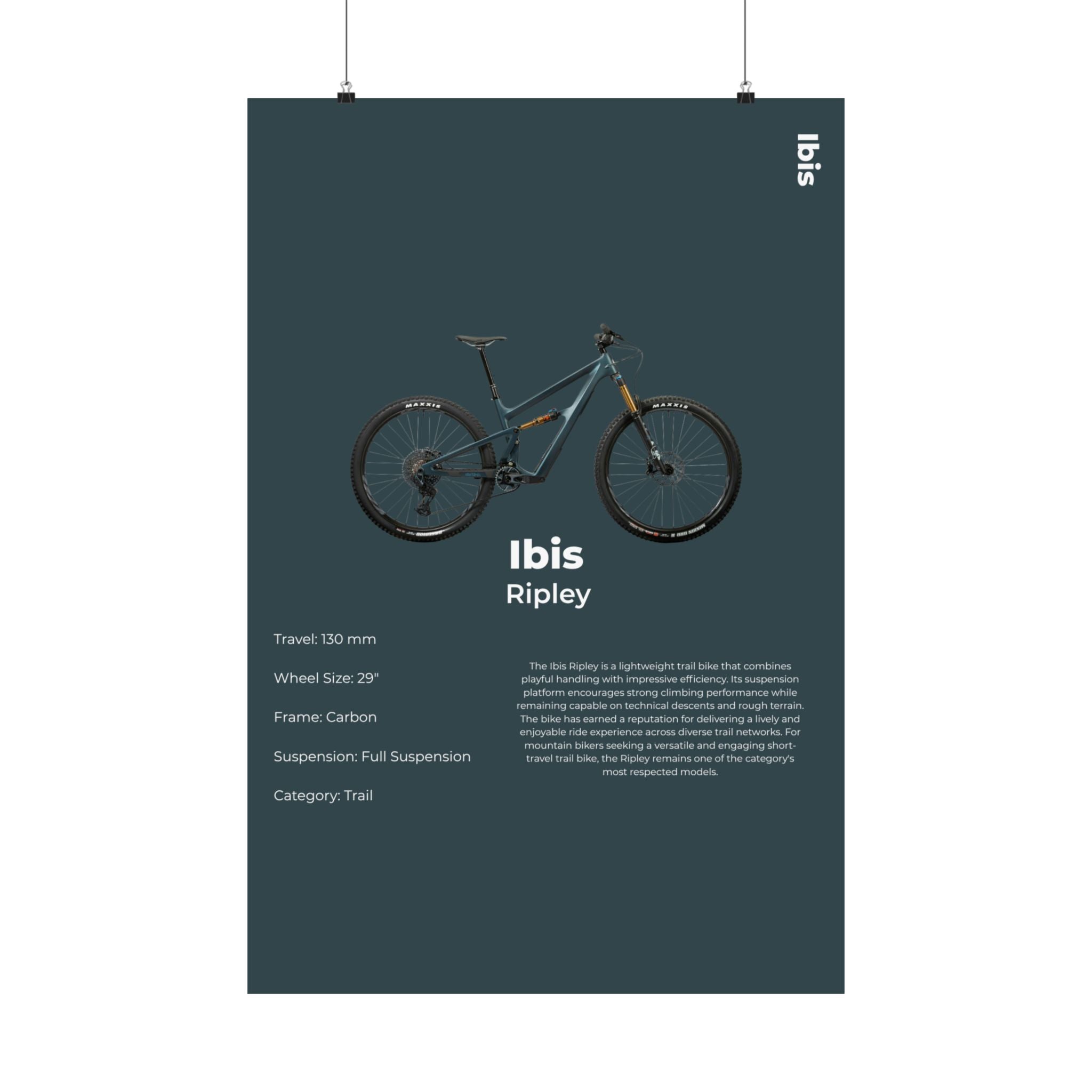 Ibis Ripley Poster
