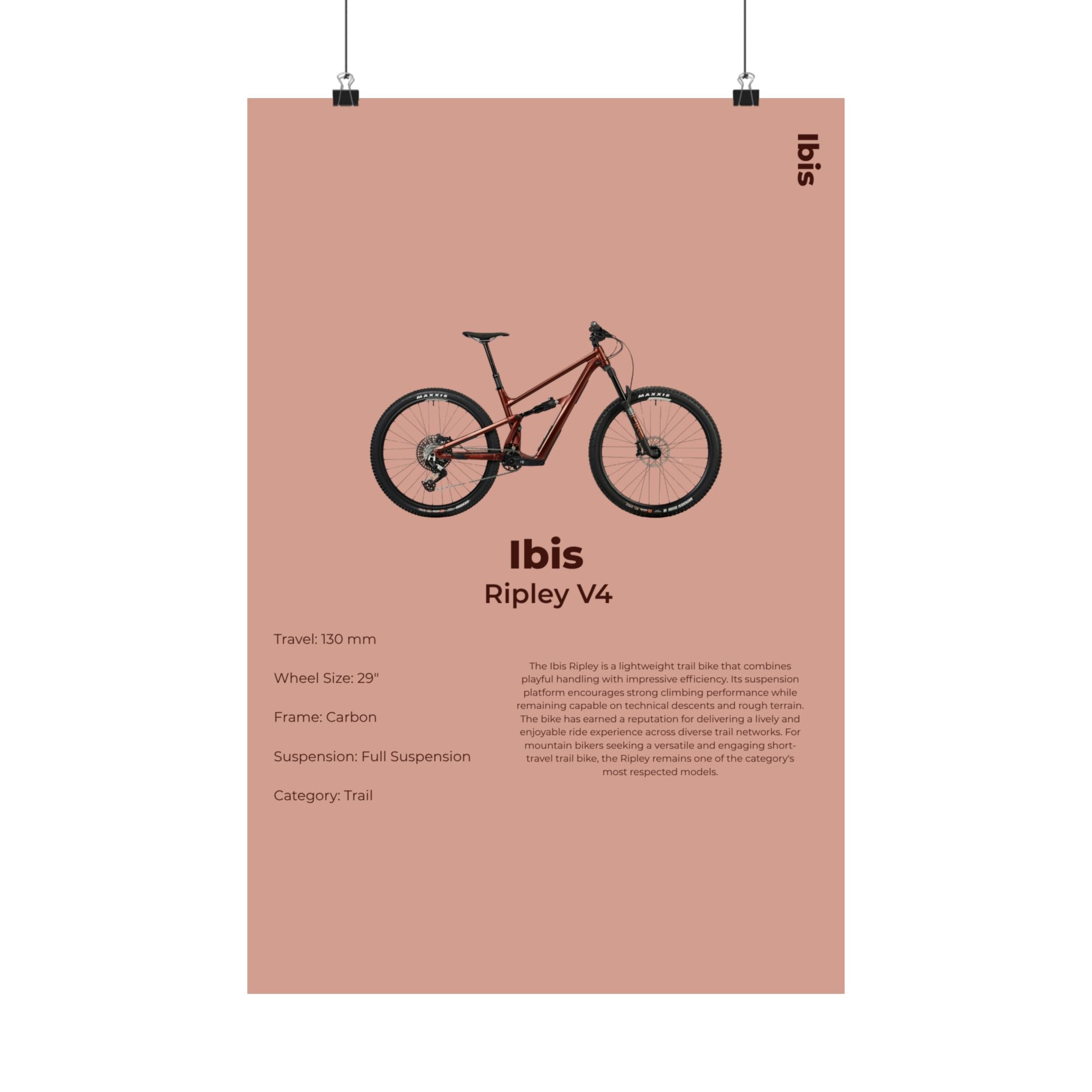 Ibis Ripley Poster