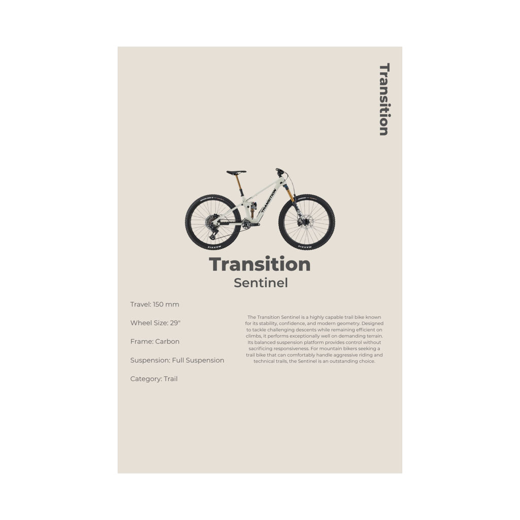 Transition Sentinel Poster