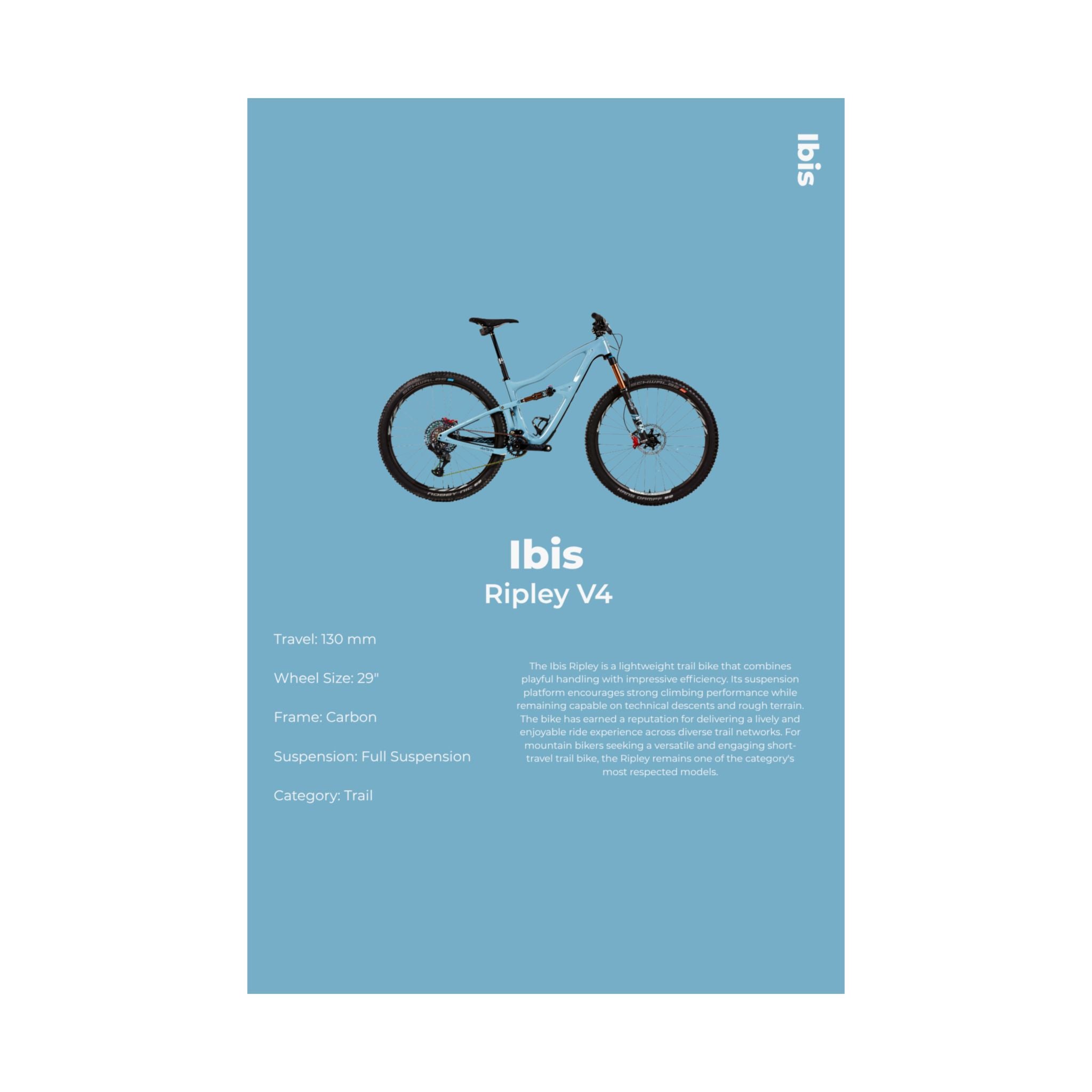 Ibis Ripley Poster