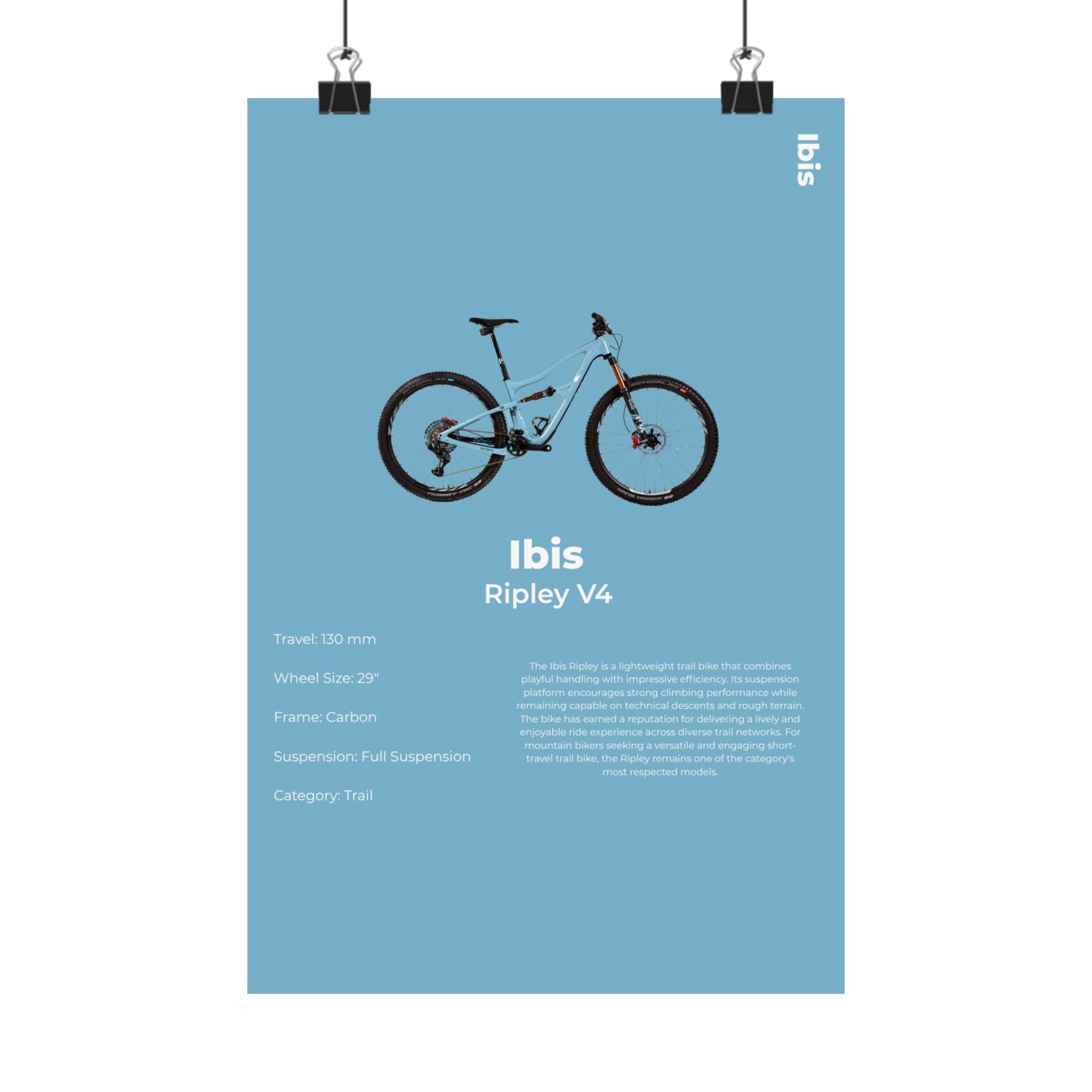 Ibis Ripley Poster