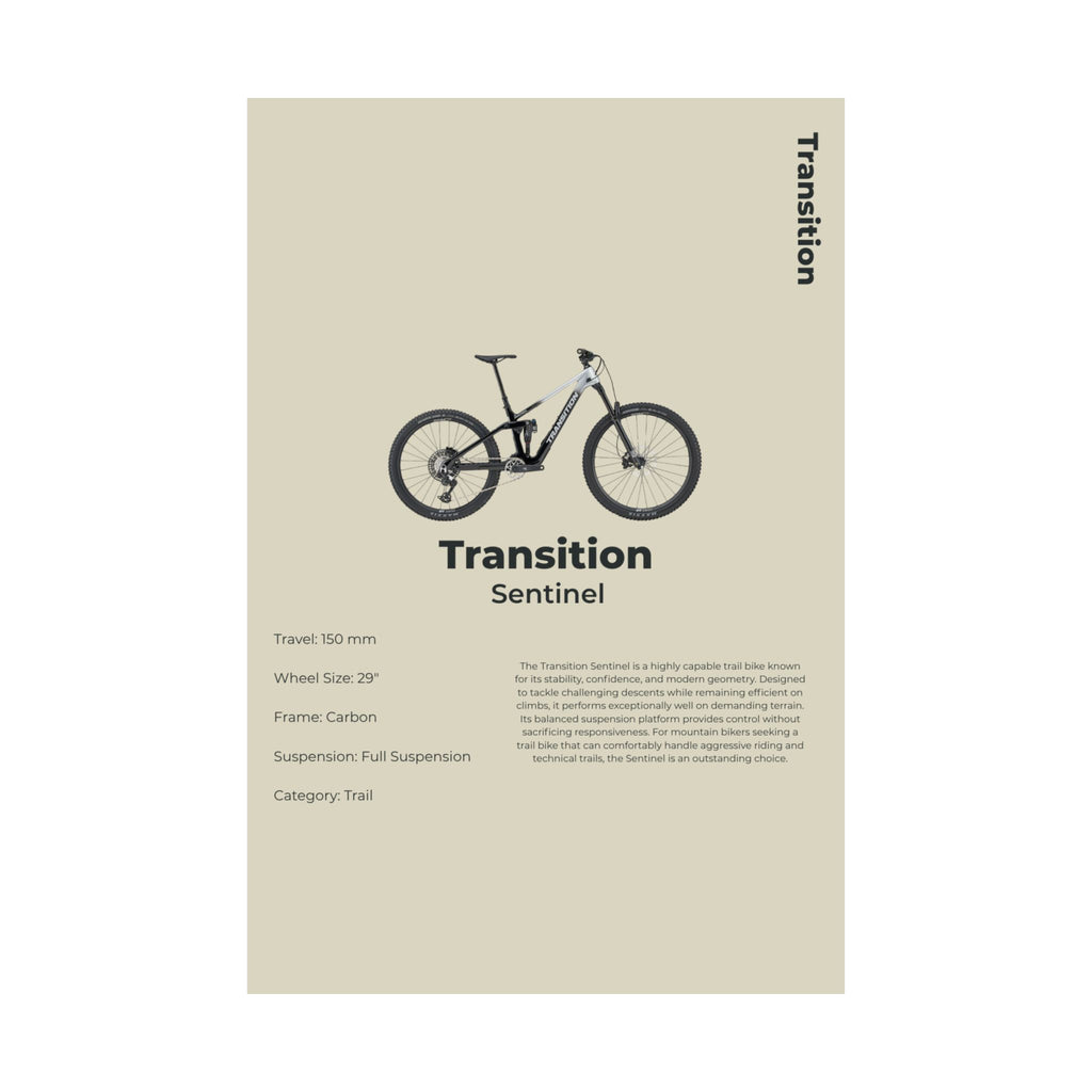 Transition Sentinel Poster