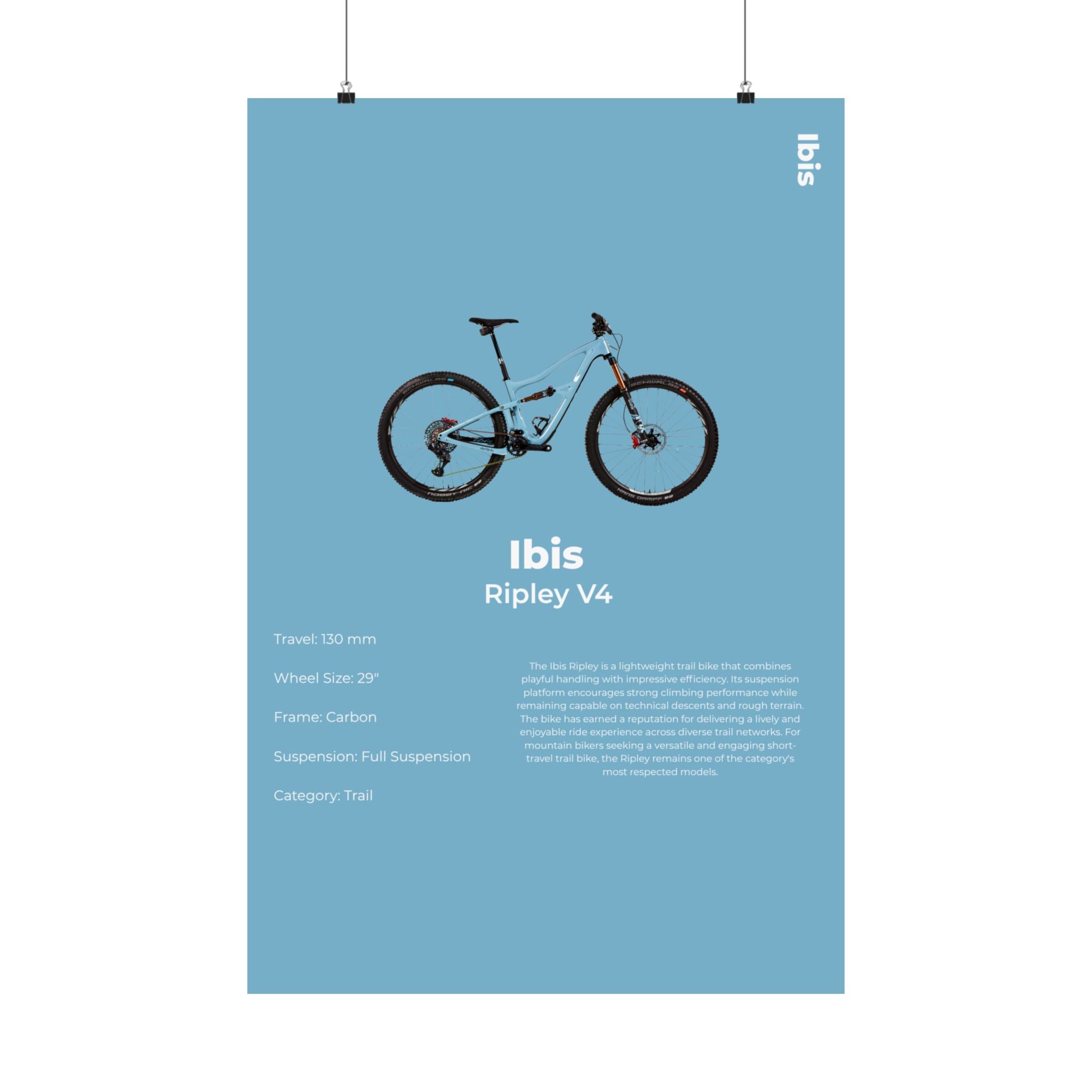 Ibis Ripley Poster