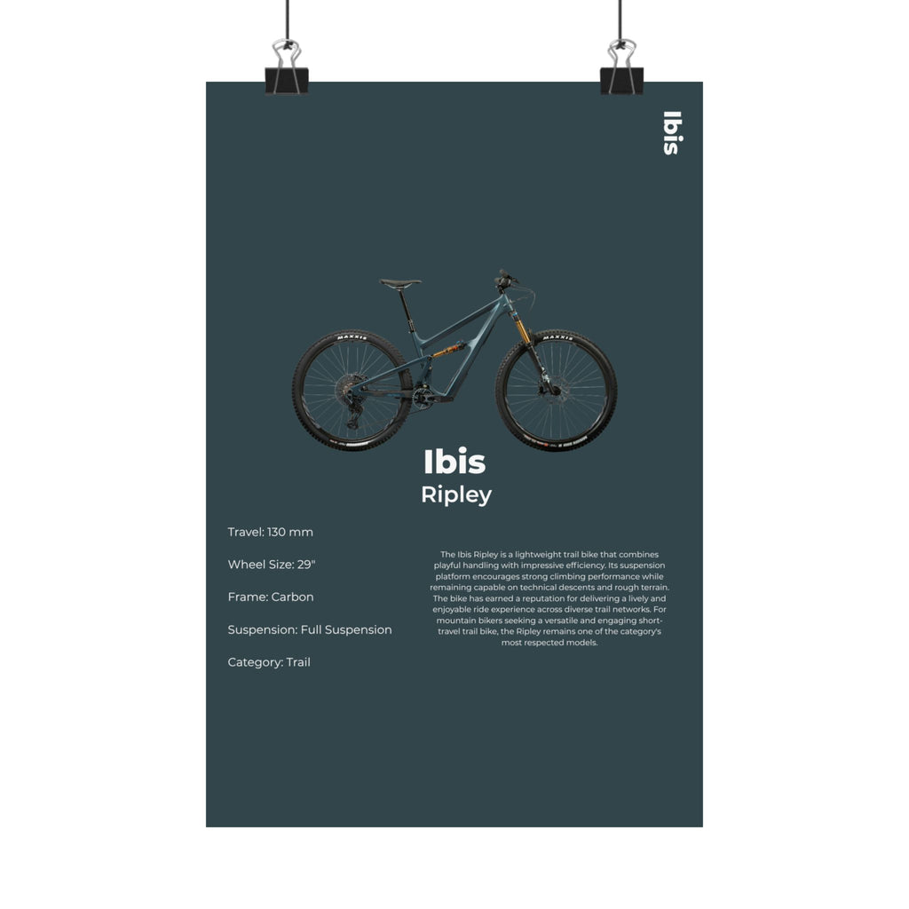 Ibis Ripley Poster