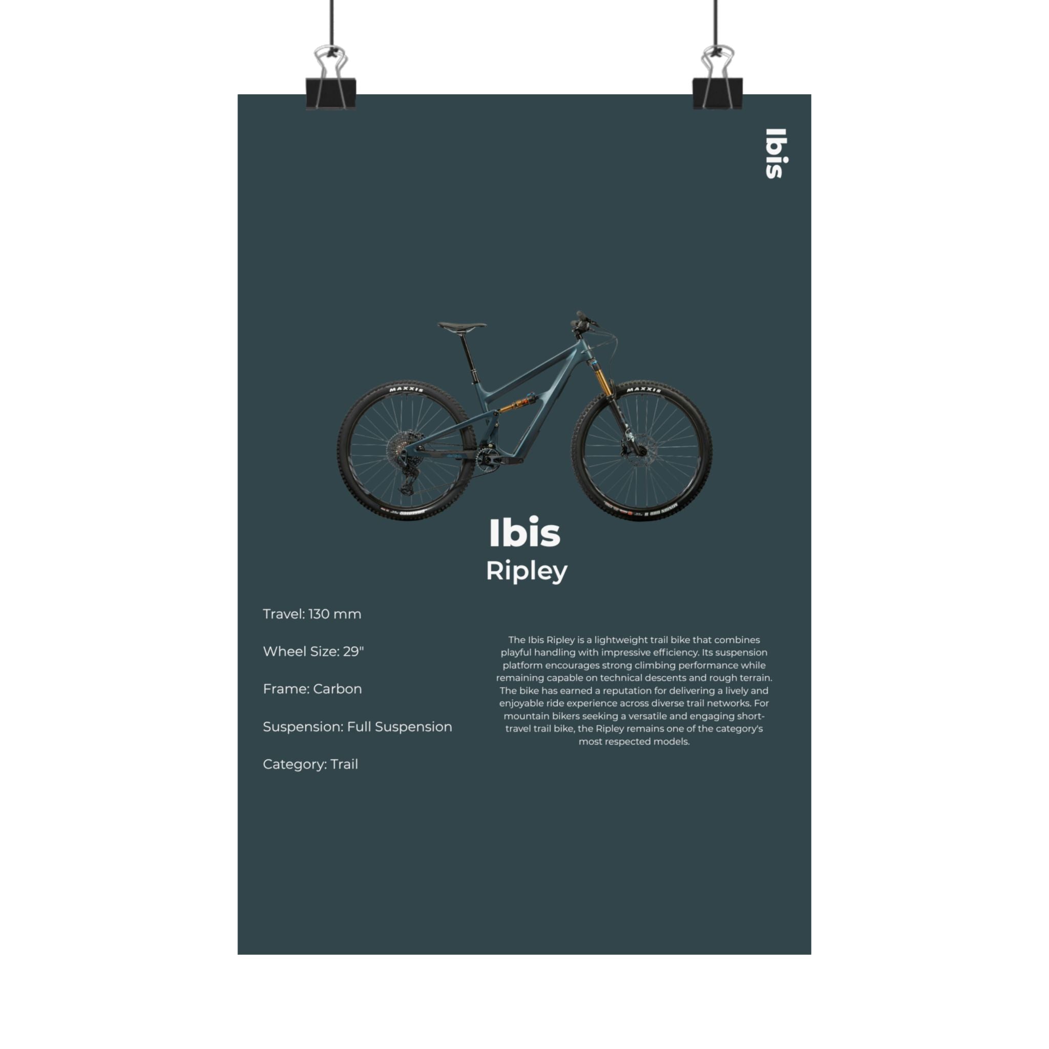 Ibis Ripley Poster