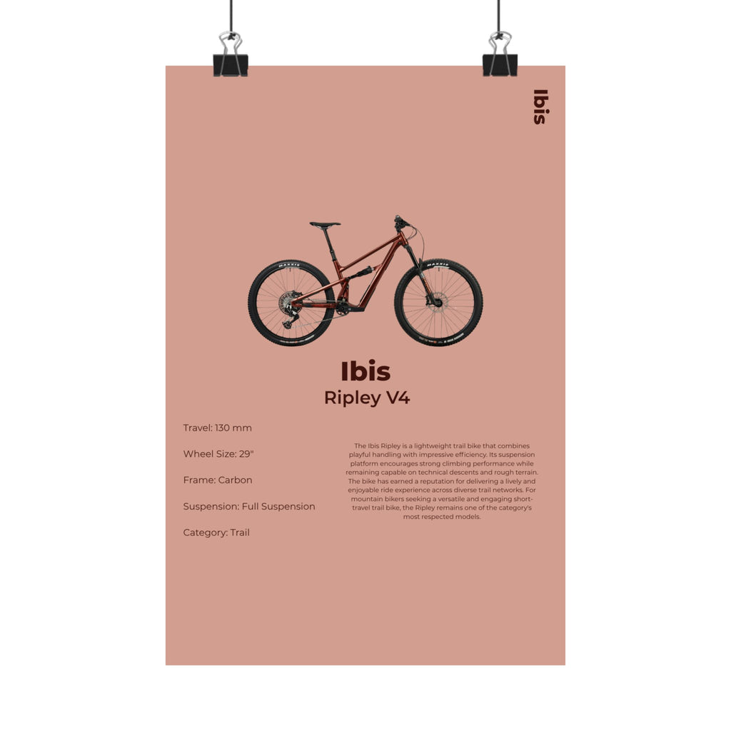 Ibis Ripley Poster